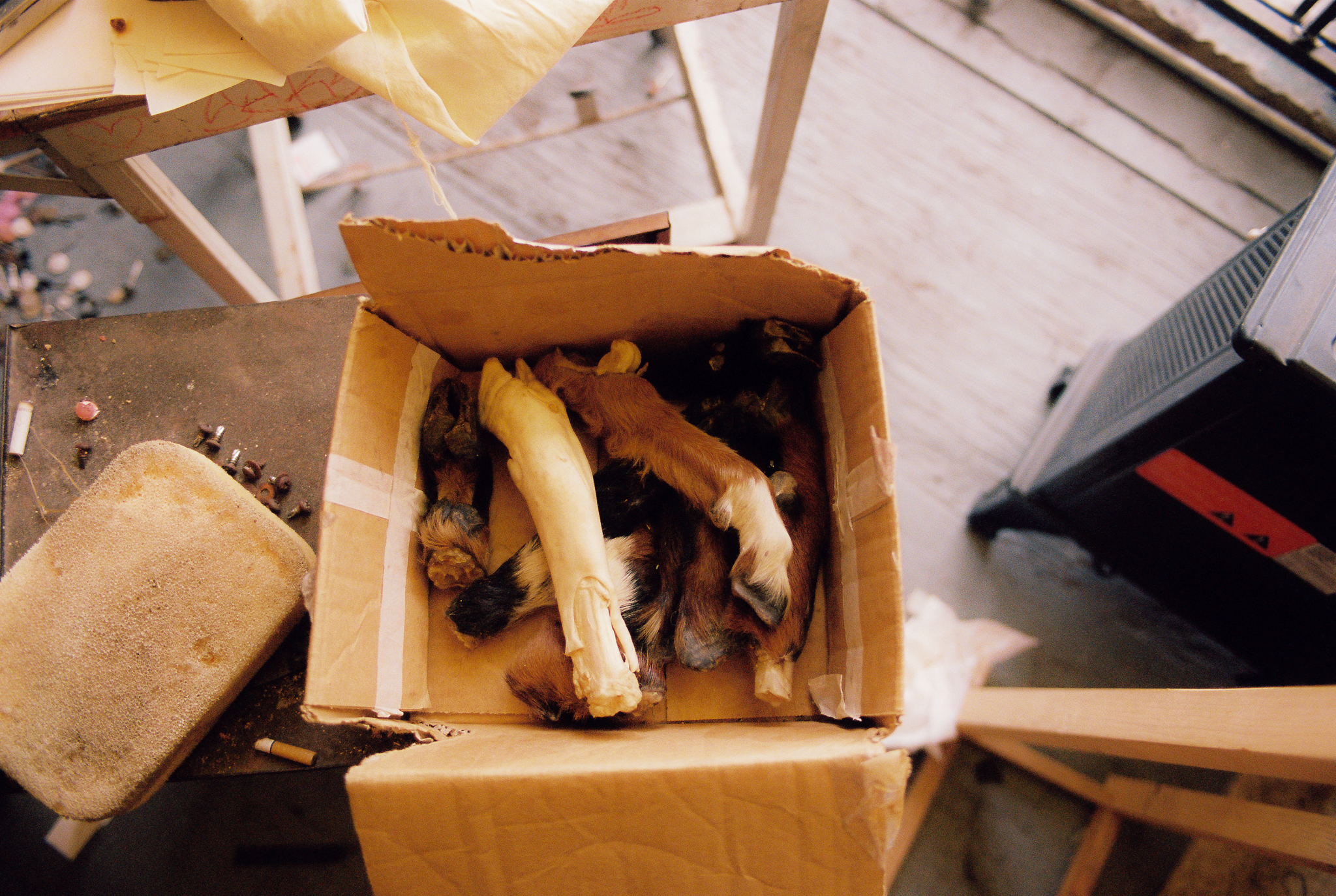 Post Show - Studio-67.png