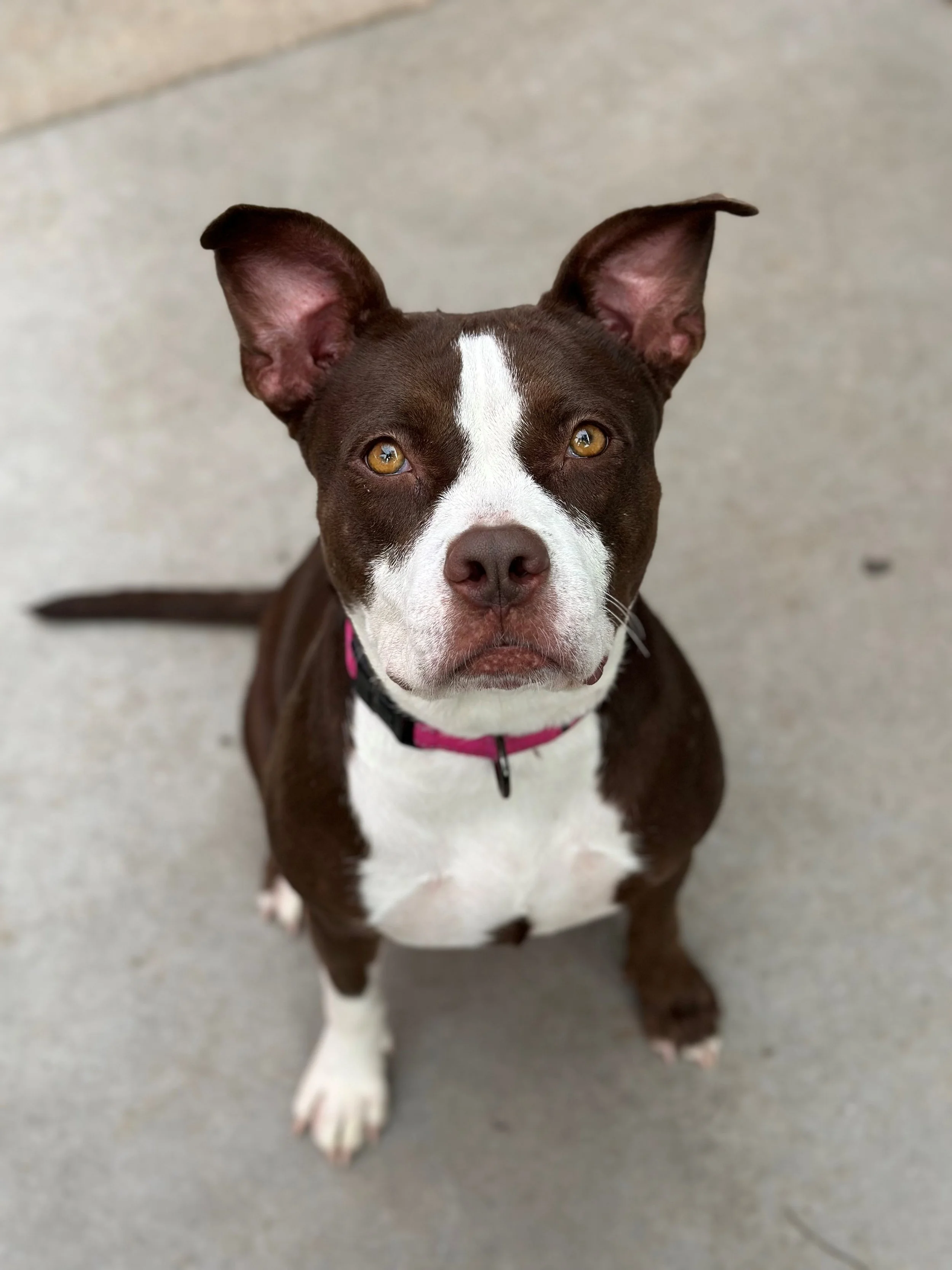 Lucy 5.jpg