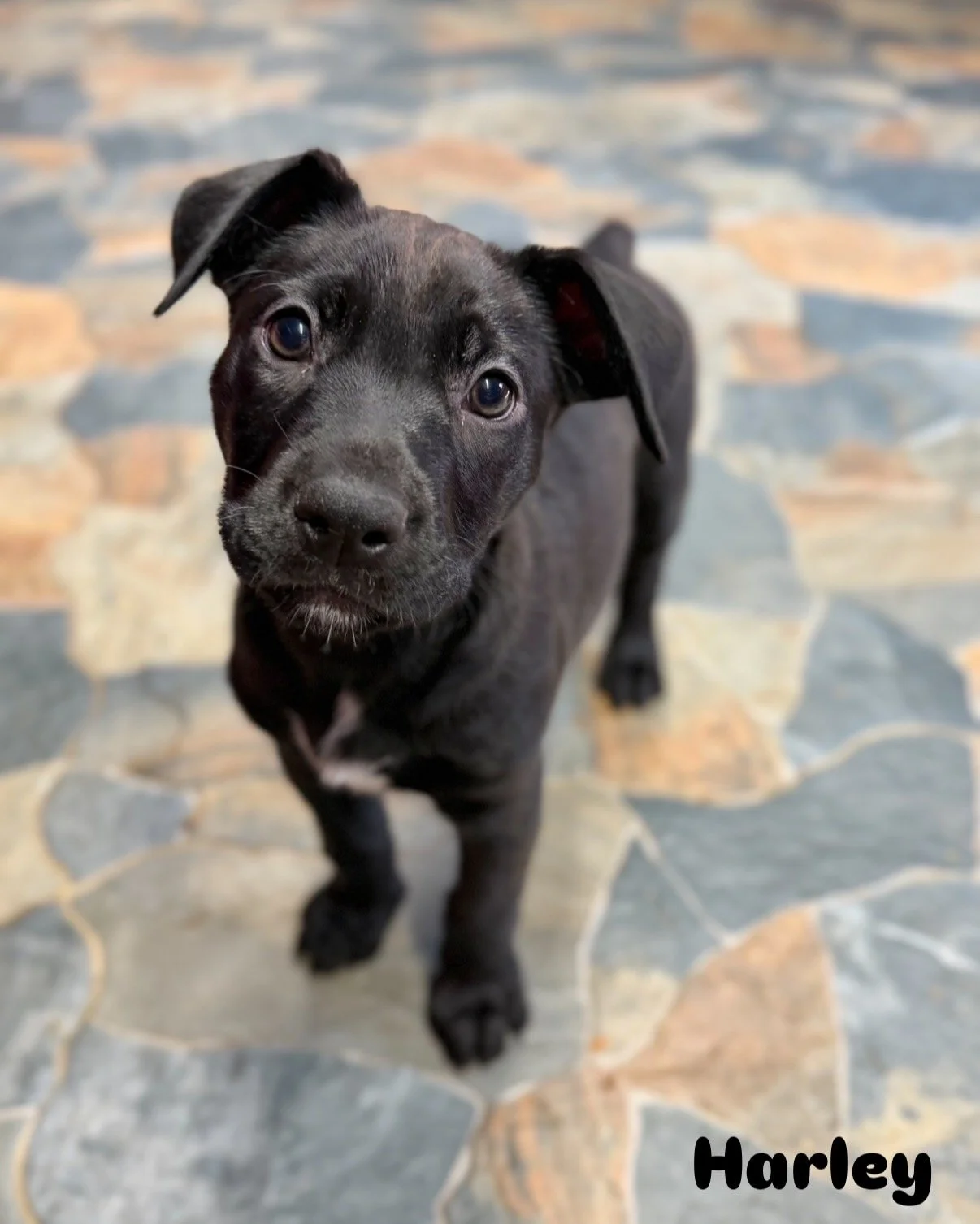 858F92F9-BC82-4ABB-B885-57C9578980FB.JPG