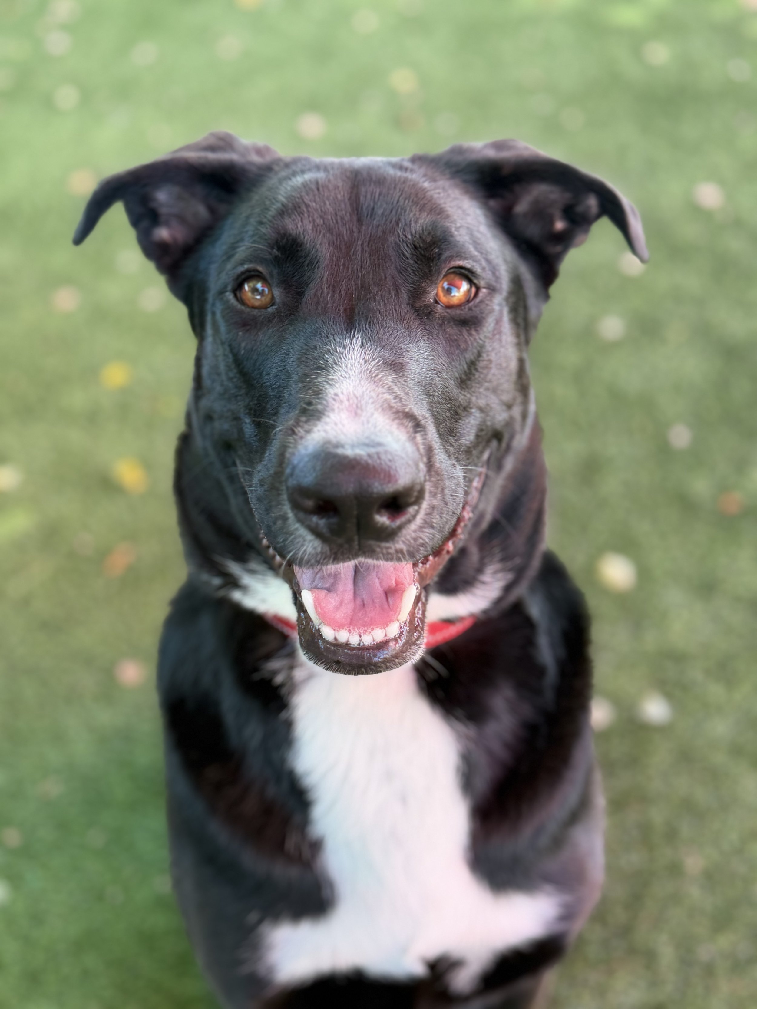 IMG_4940.jpeg
