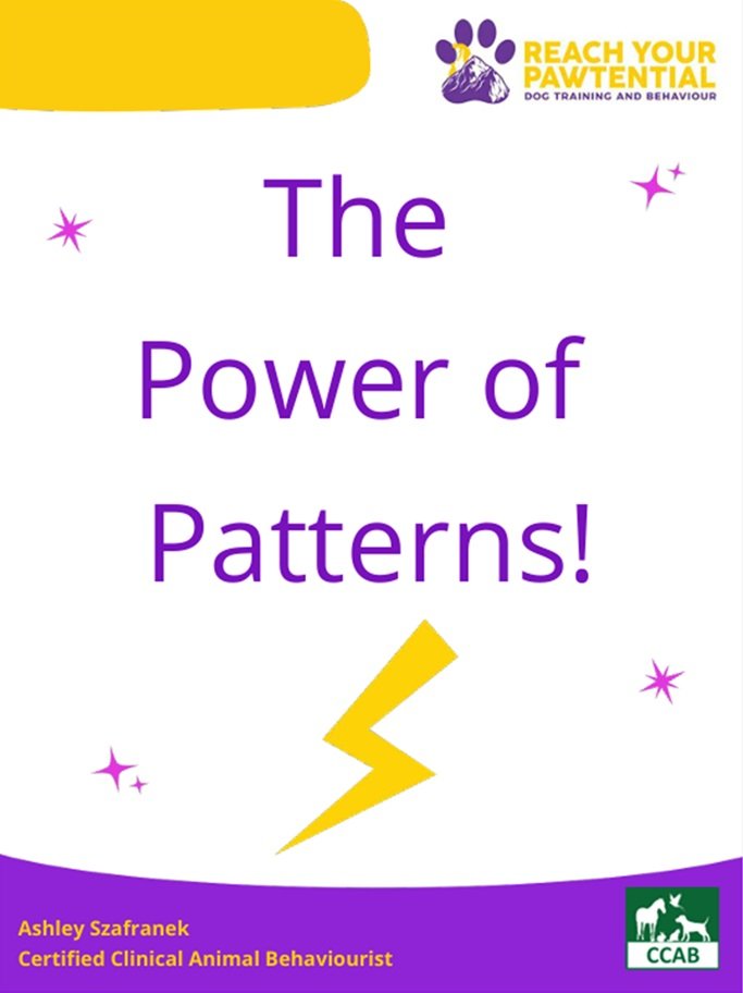 The Power of Patterns Download.jpg