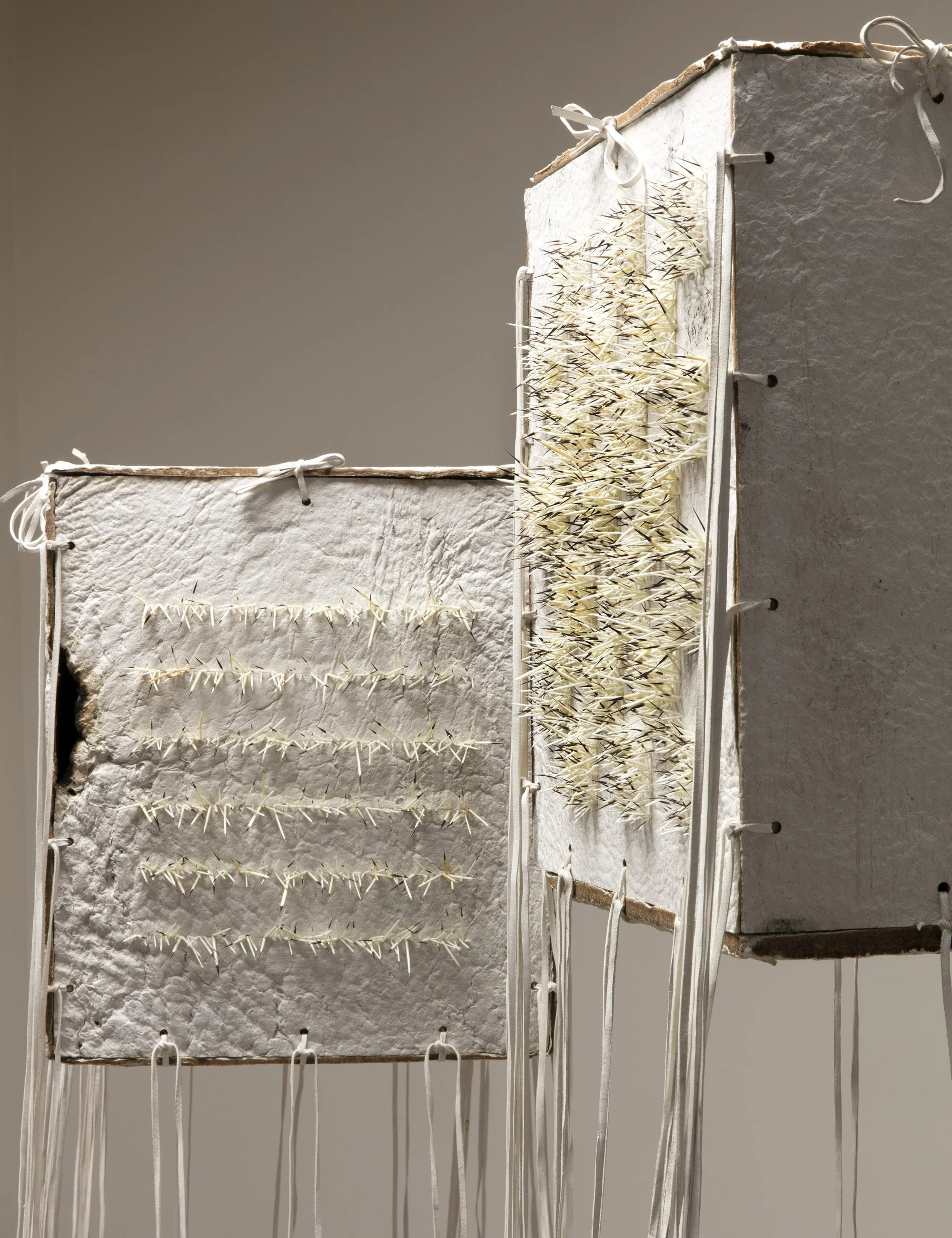 Kincentric Ecologies