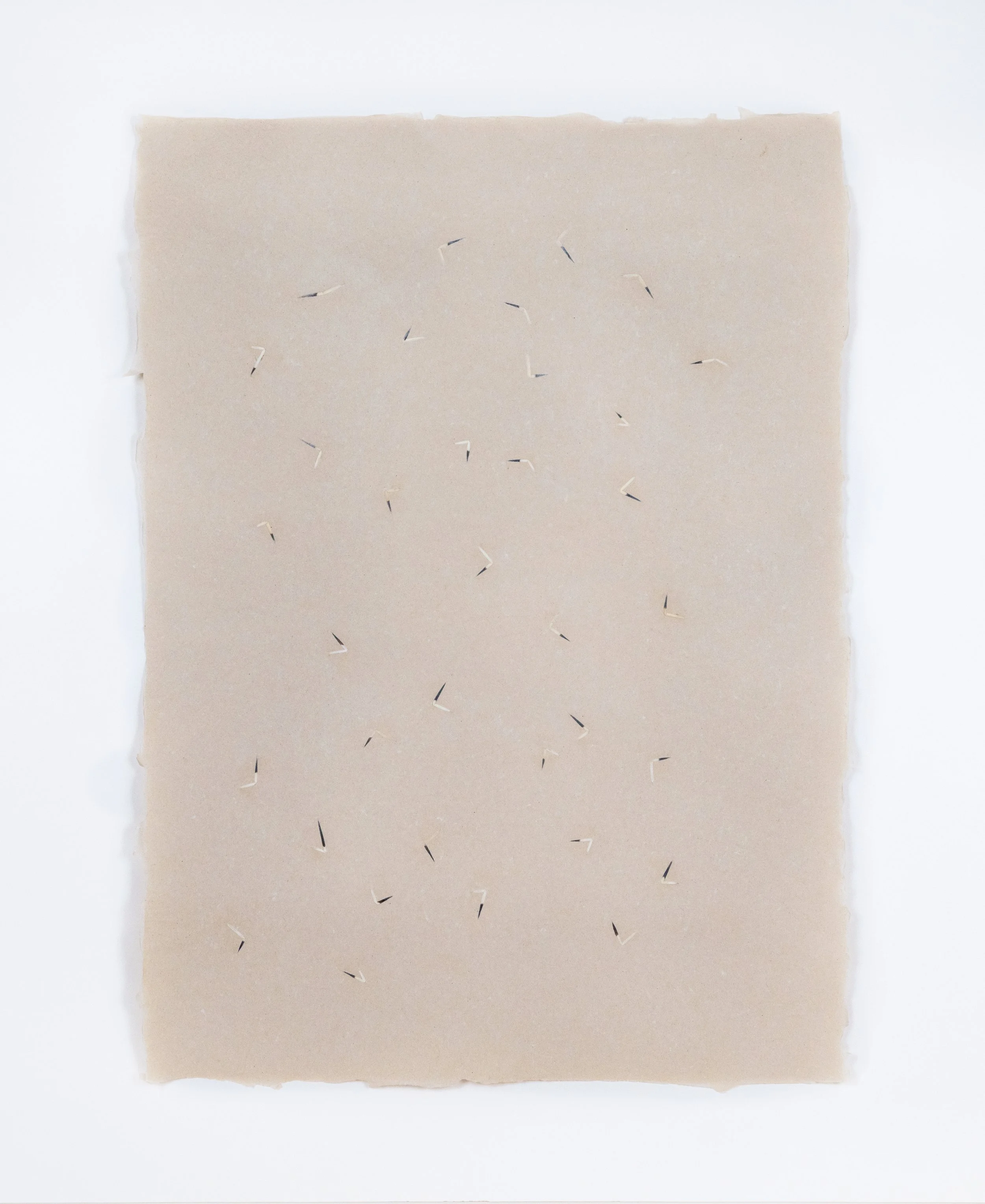 26 iyápi_mpatton.jpg