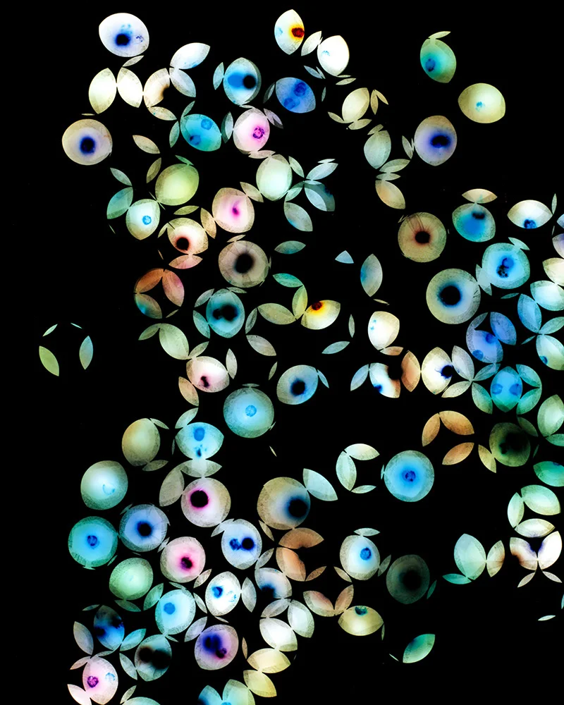 ws_marbles1.jpg