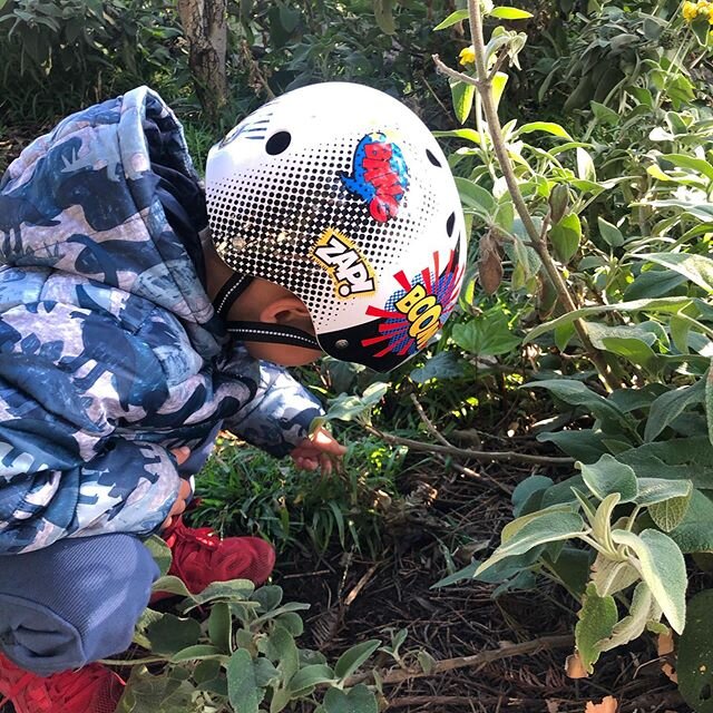 One of the best things about Esprit is that it&rsquo;s one of the few places nearby where kids can get dirty, explore nature, and play in an unstructured environment. Digging in the dirt is good for the soul!