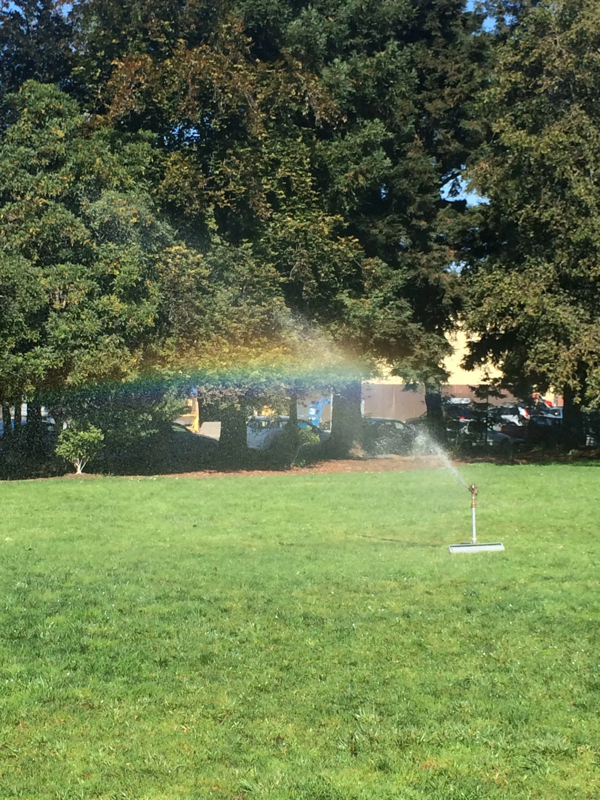 Keep Esprit Free of Artificial Turf and 5 ft Chain Link Fencing - Send Comments to SF Rec &amp; Park by Feb. 16