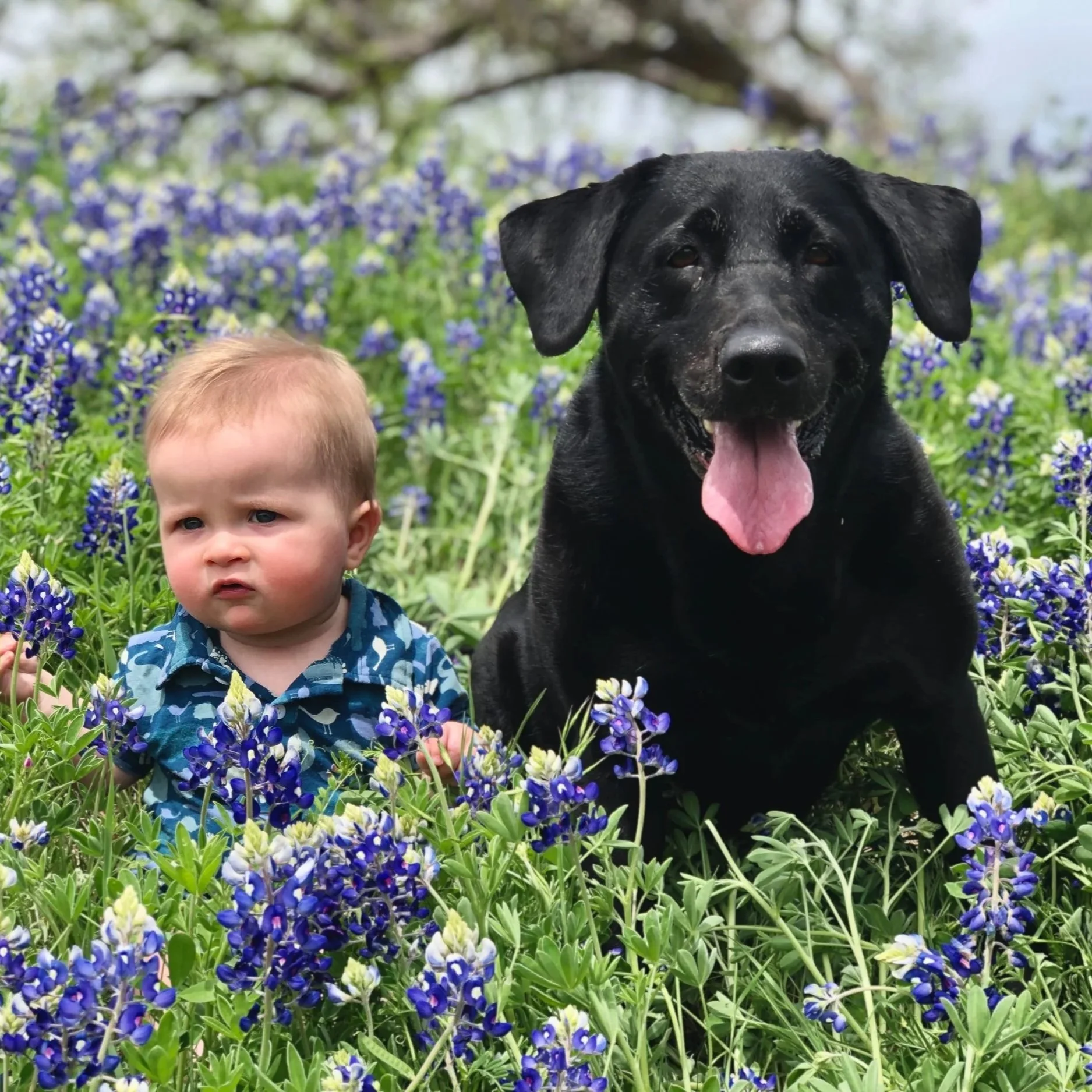 Spring 2022 Events: Puppies + Toddlers, Flora and Fauna, Renovation Updates!