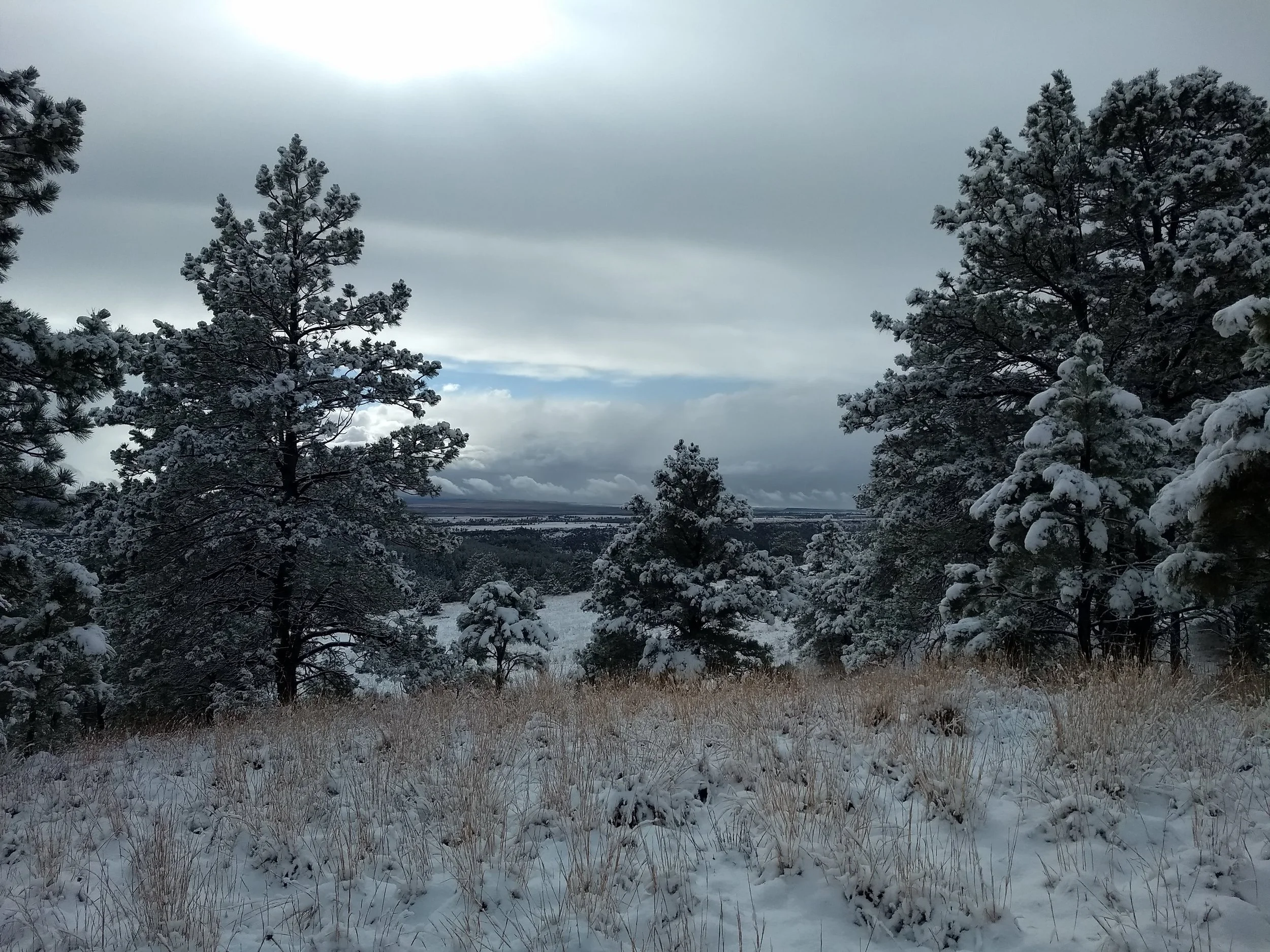 Nature and Worldbuilding