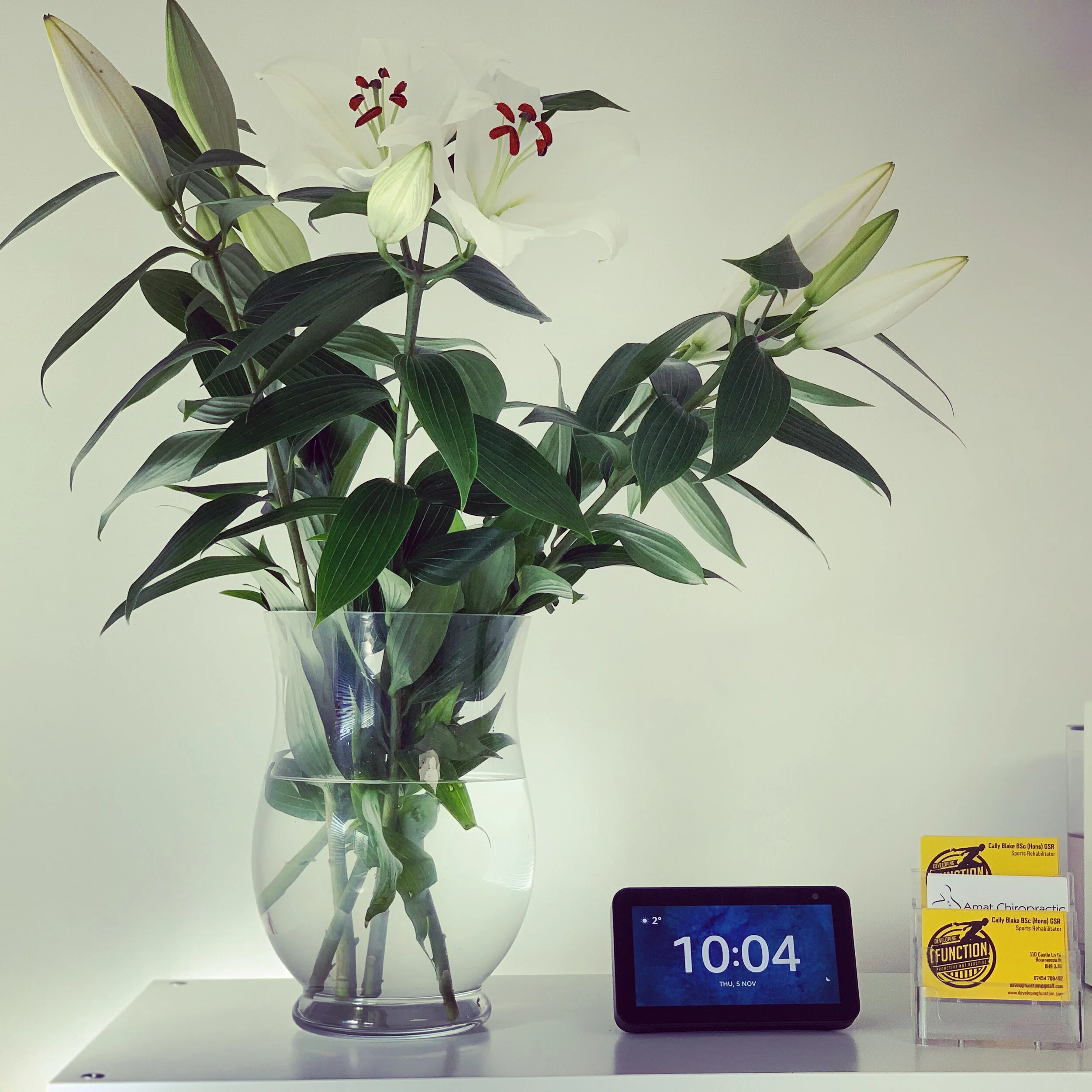 68EC11BA-16F6-4700-B004-D45FFBFD96C5 2.JPG