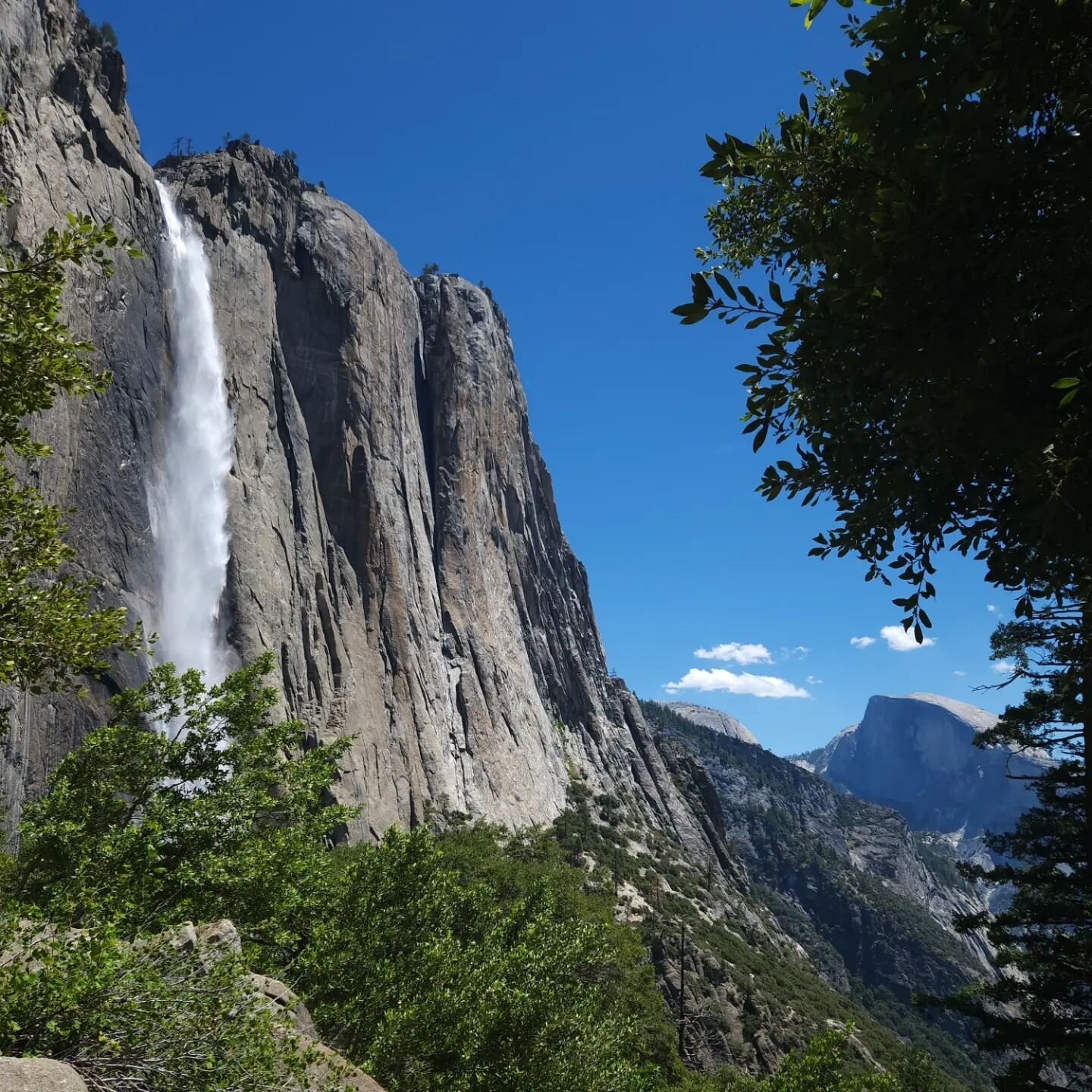 Yosemite photo dump (July 2023)