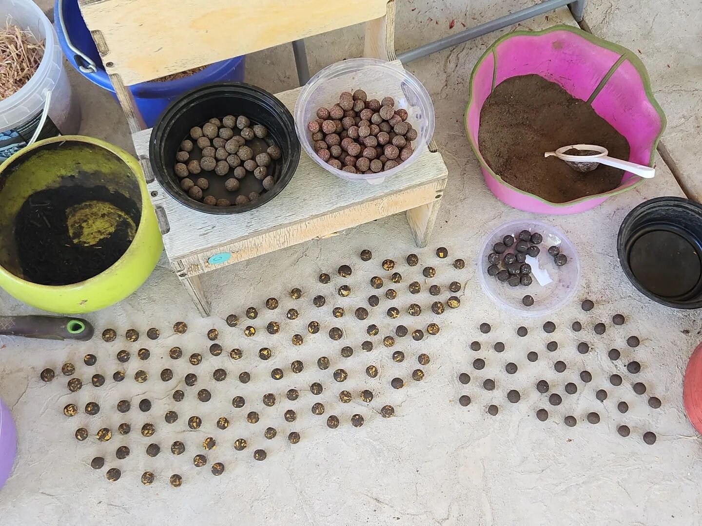 SEED BALLS!!! I'm making for my friends in Oakland before the rains come. 🌧