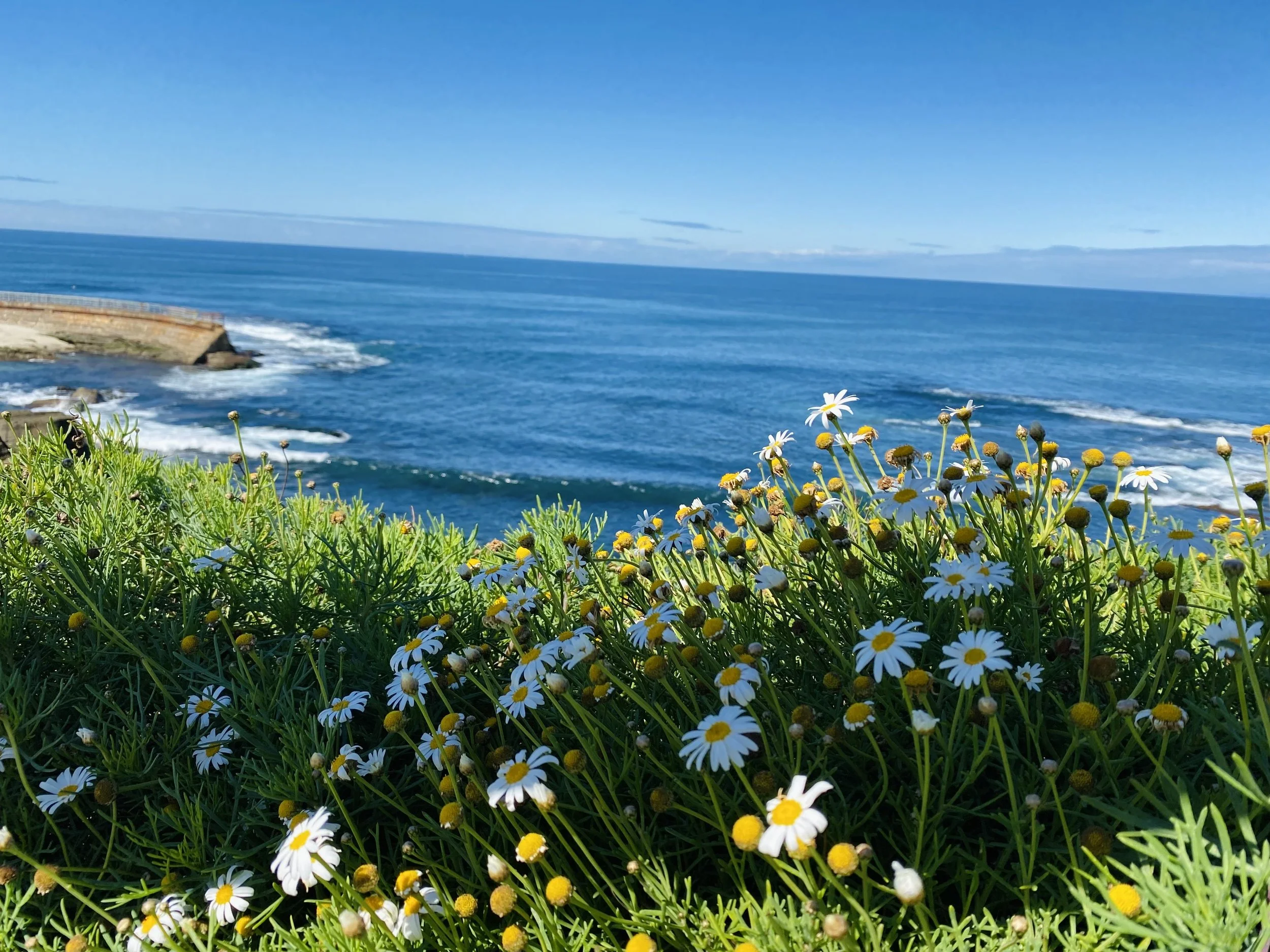 one step: Matthew 5.16