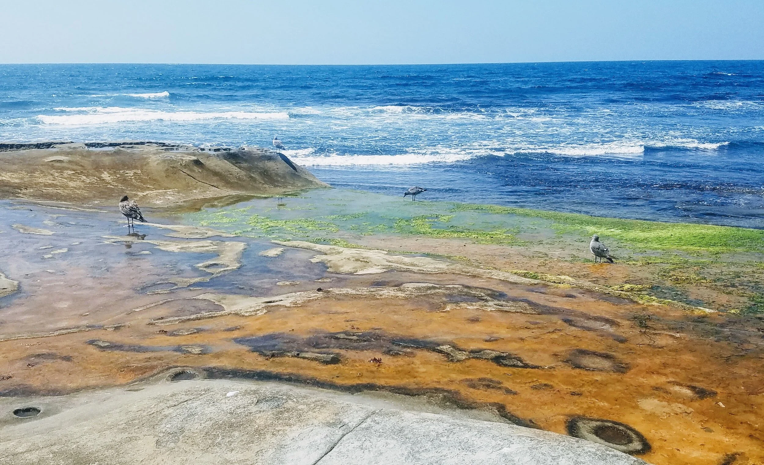 one step: Matthew 13.5