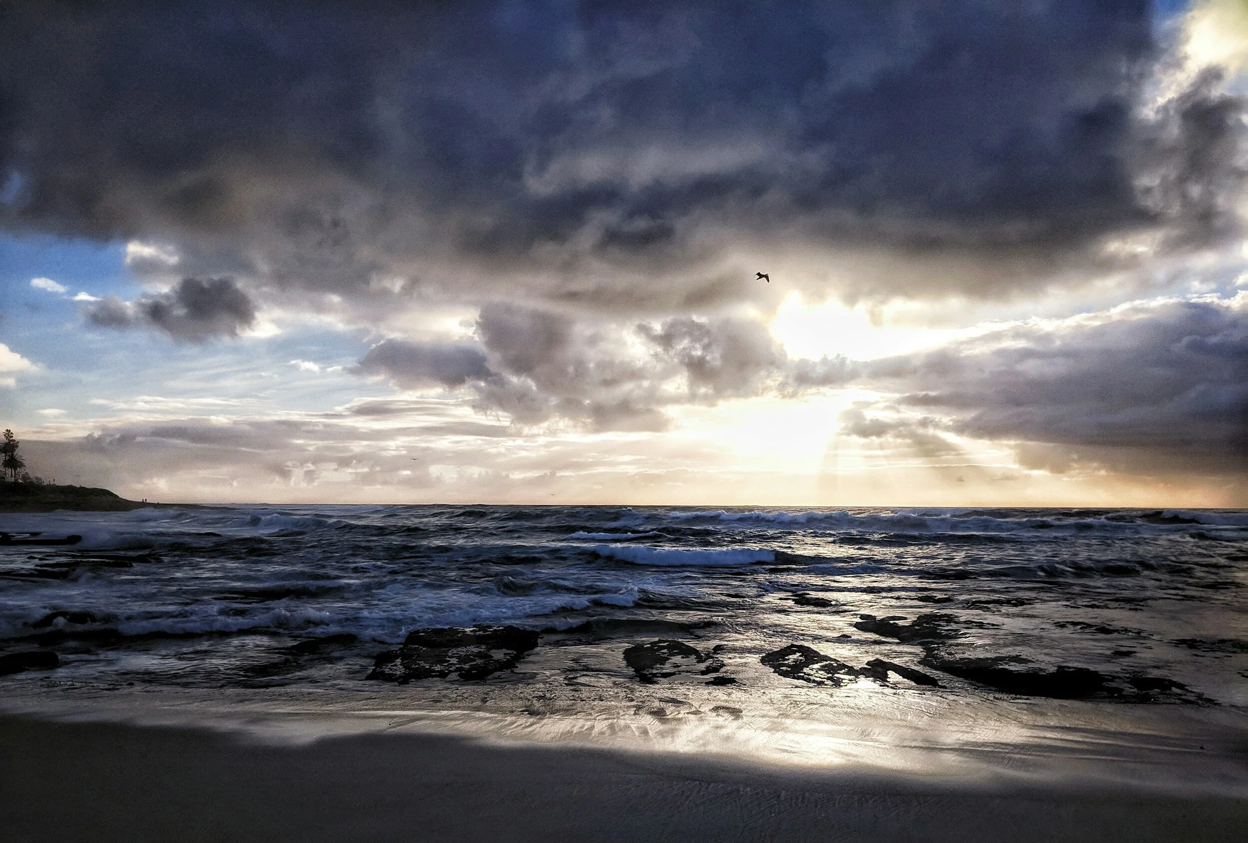 one step: Romans 12.4