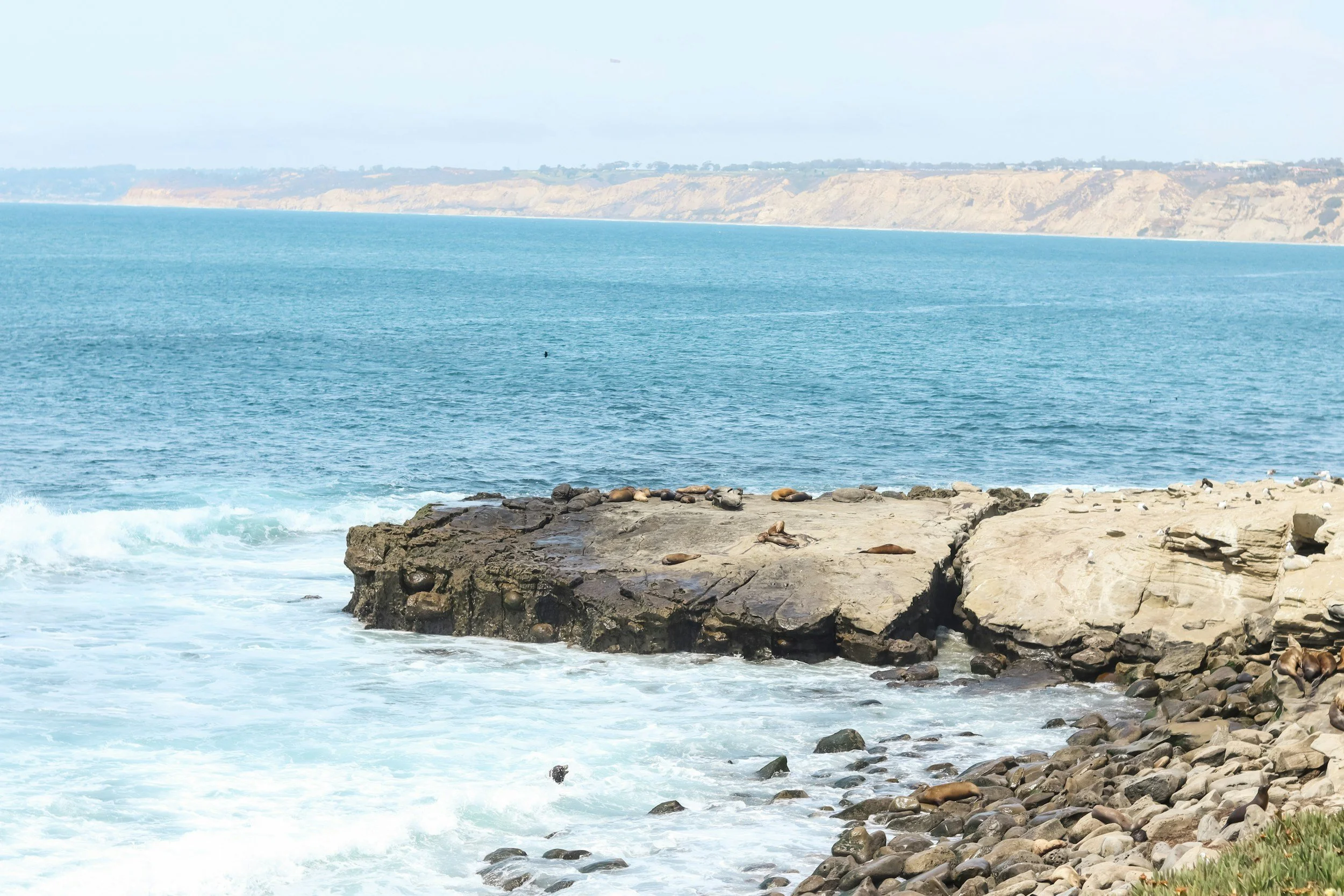 one step: Hebrews 12.1