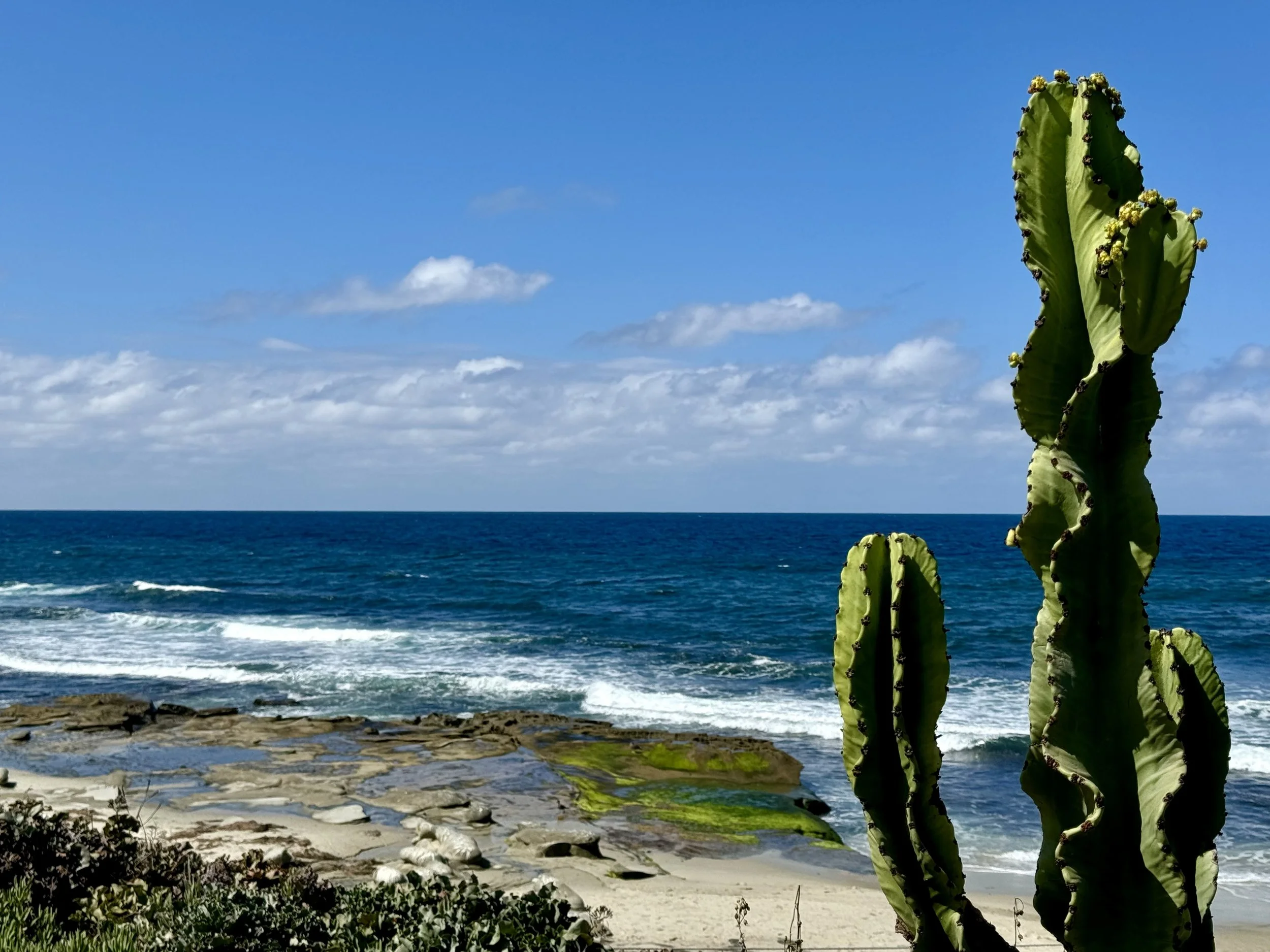 one step: 1 Thessalonians 5.7