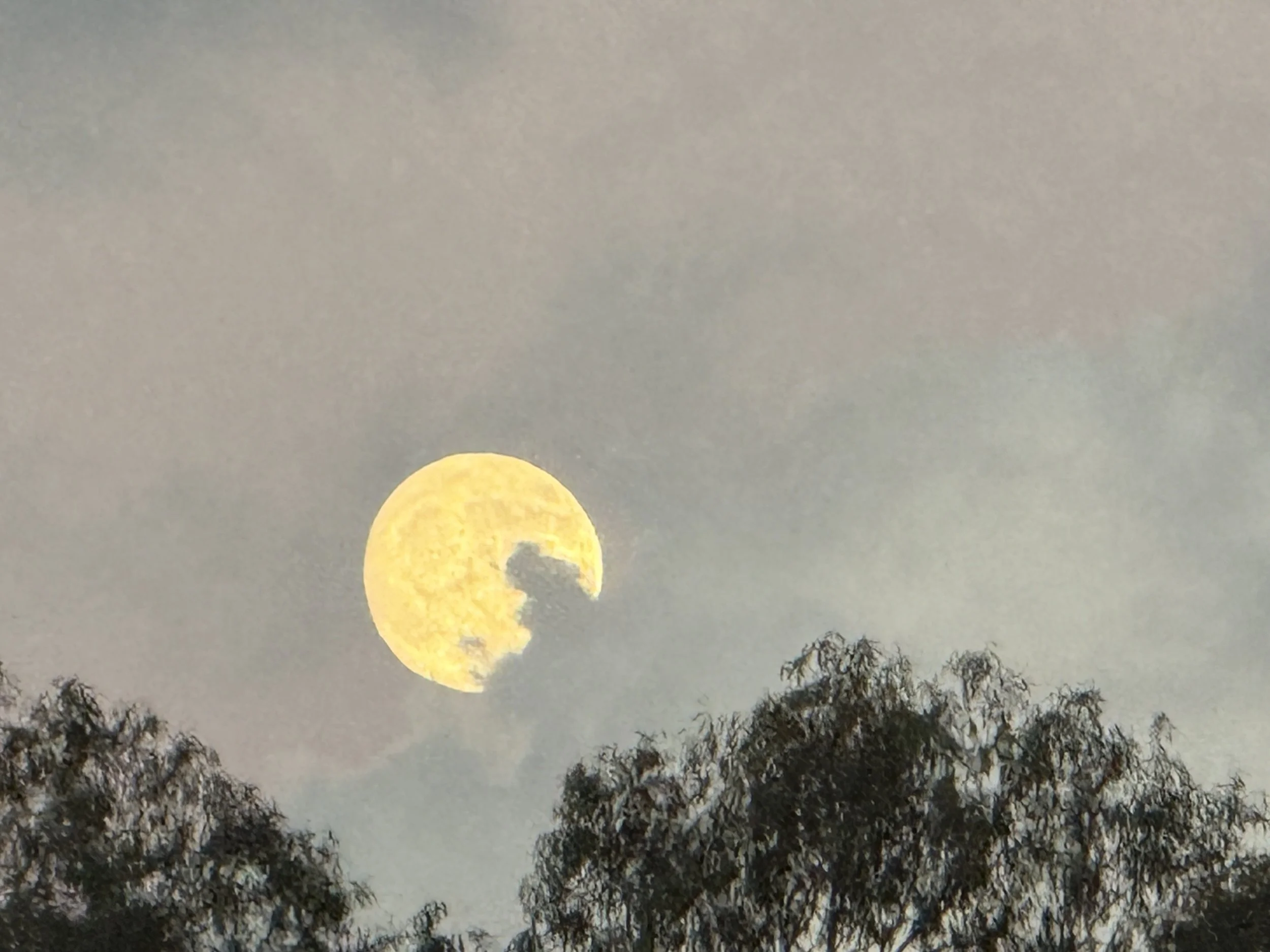 one step: water break