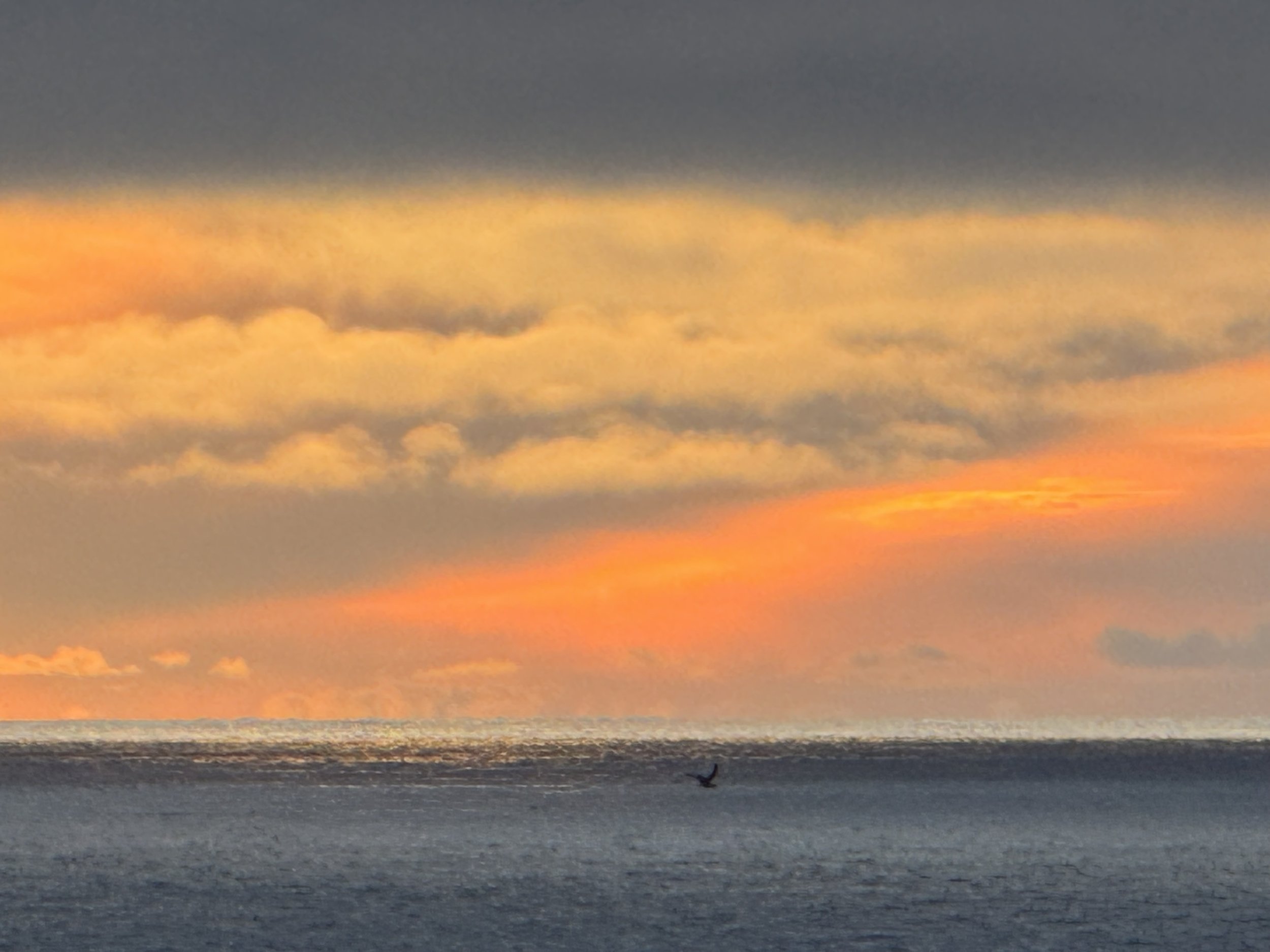 one step: 2 Thessalonians 3.6