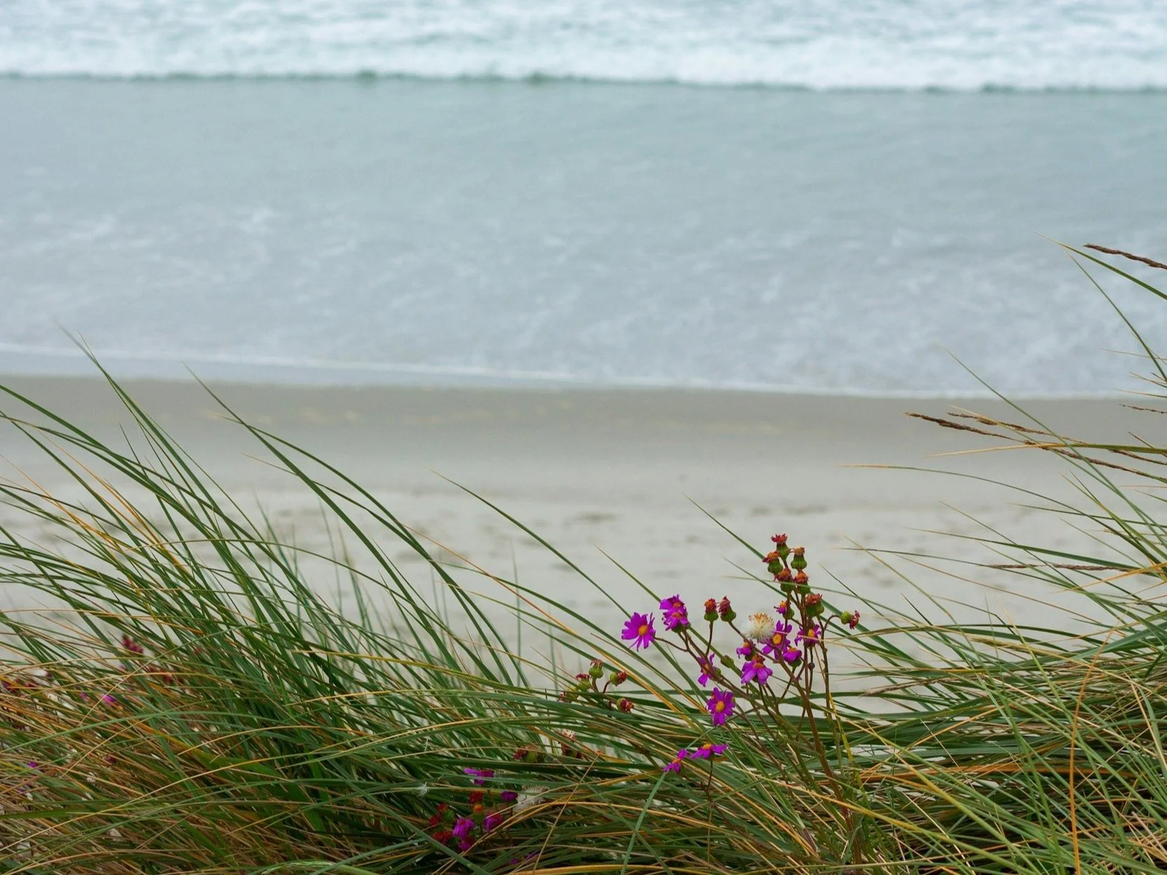 one step: water break