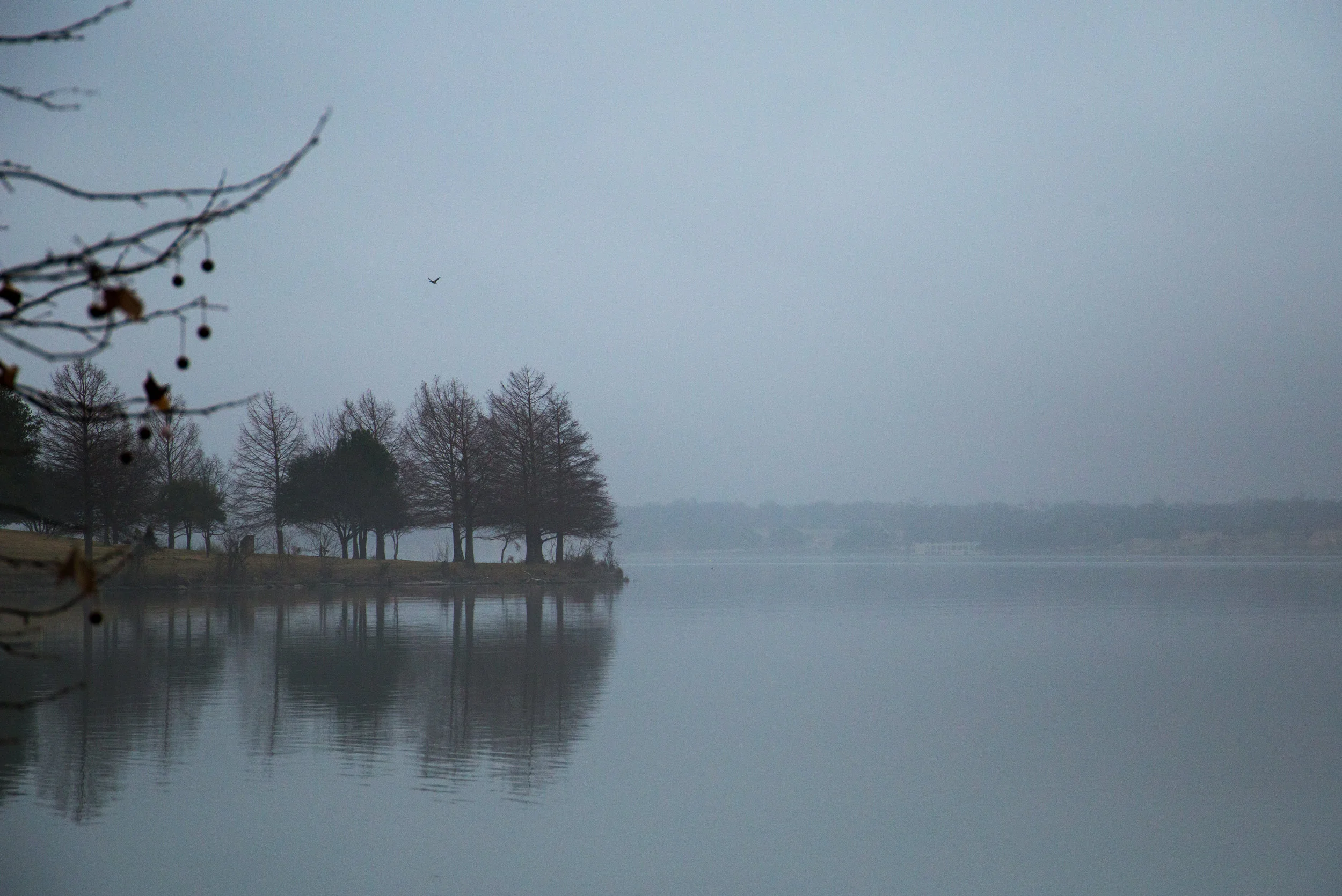 Lake Island.jpg