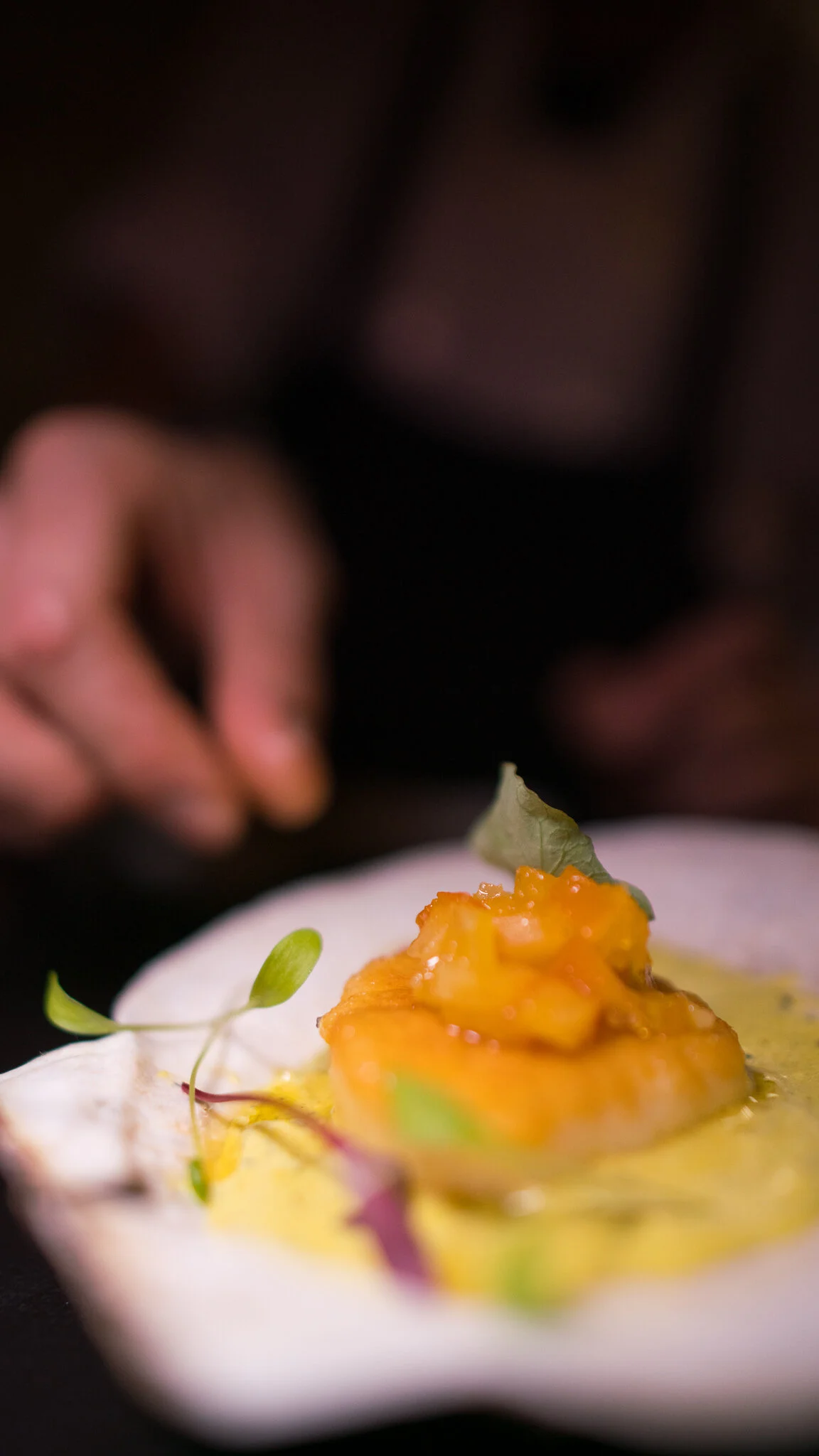DSC09835.jpg