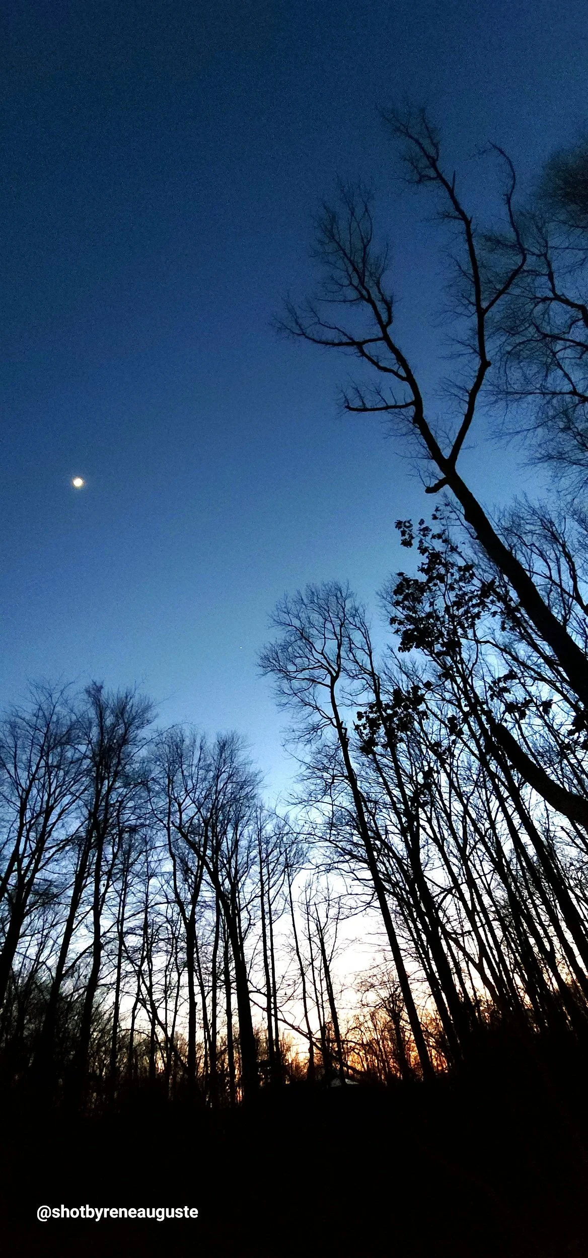 processed_20230127_173423.jpg