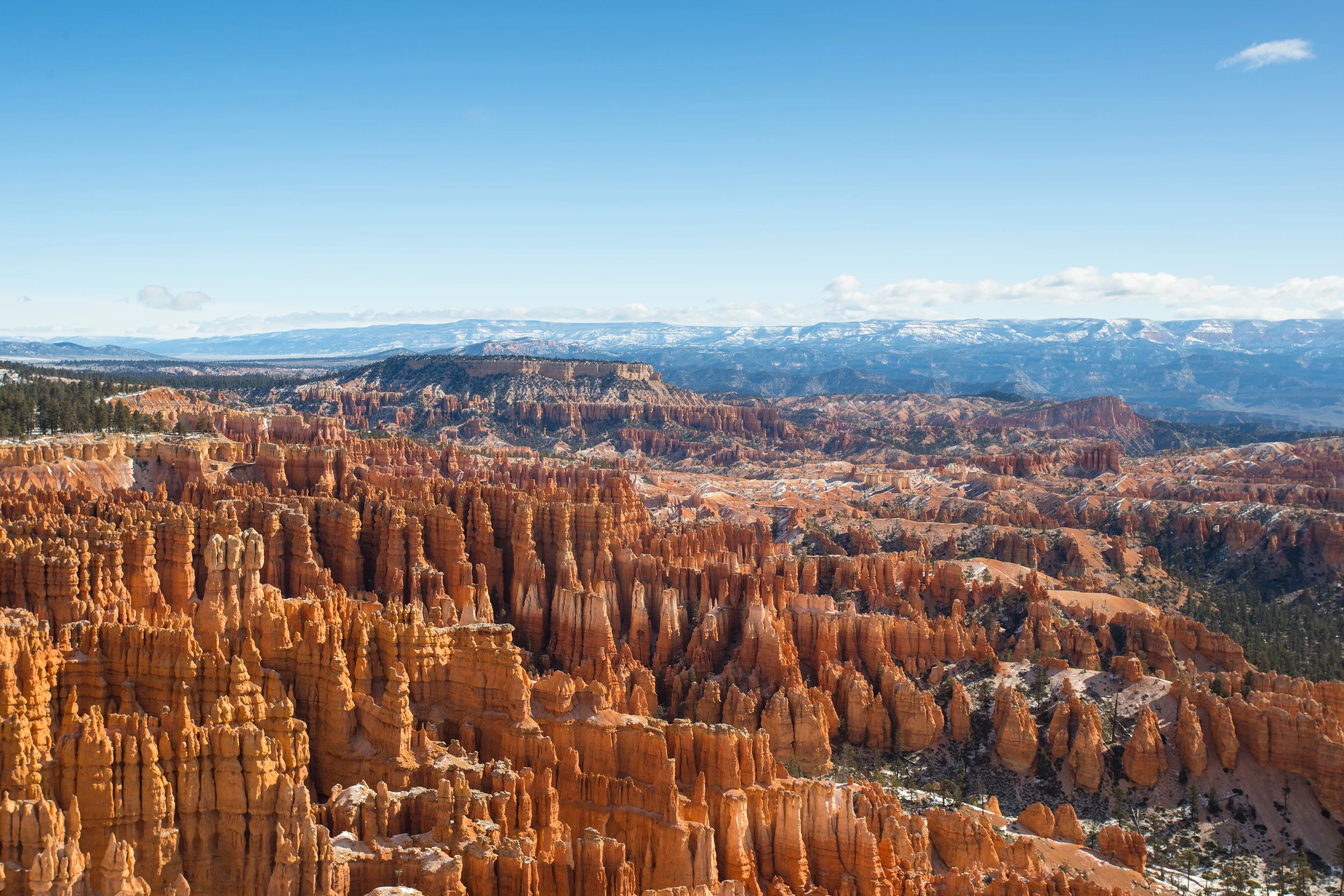 LandscapeEdits-4_resize.jpg