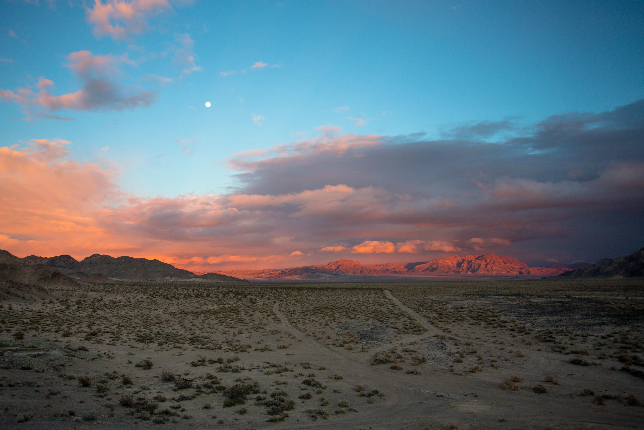 mojave-1.jpg