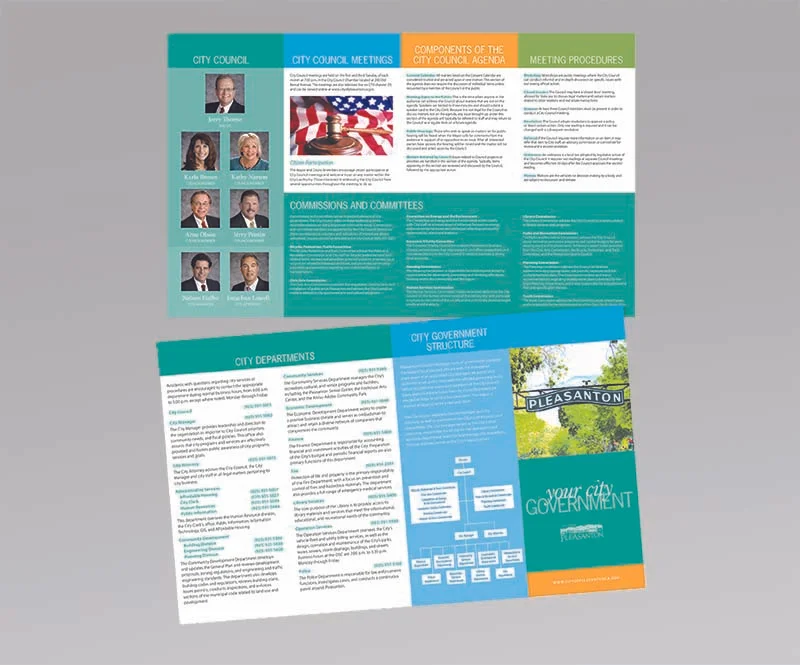  Government brochure 
