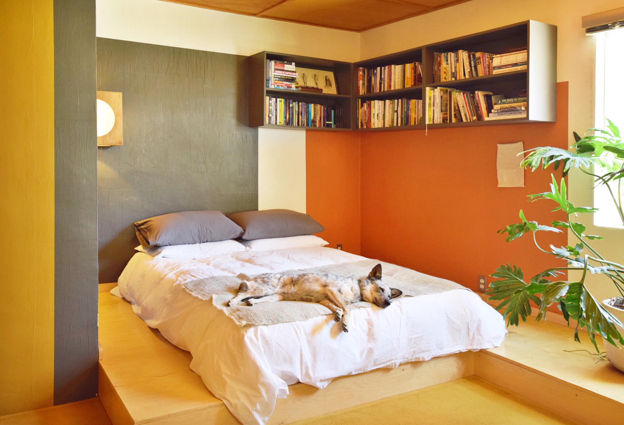 The sleeping area, and Andrea’s rescue coyote.