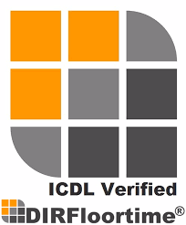 ICDL+DIR+Floortime.png.webp