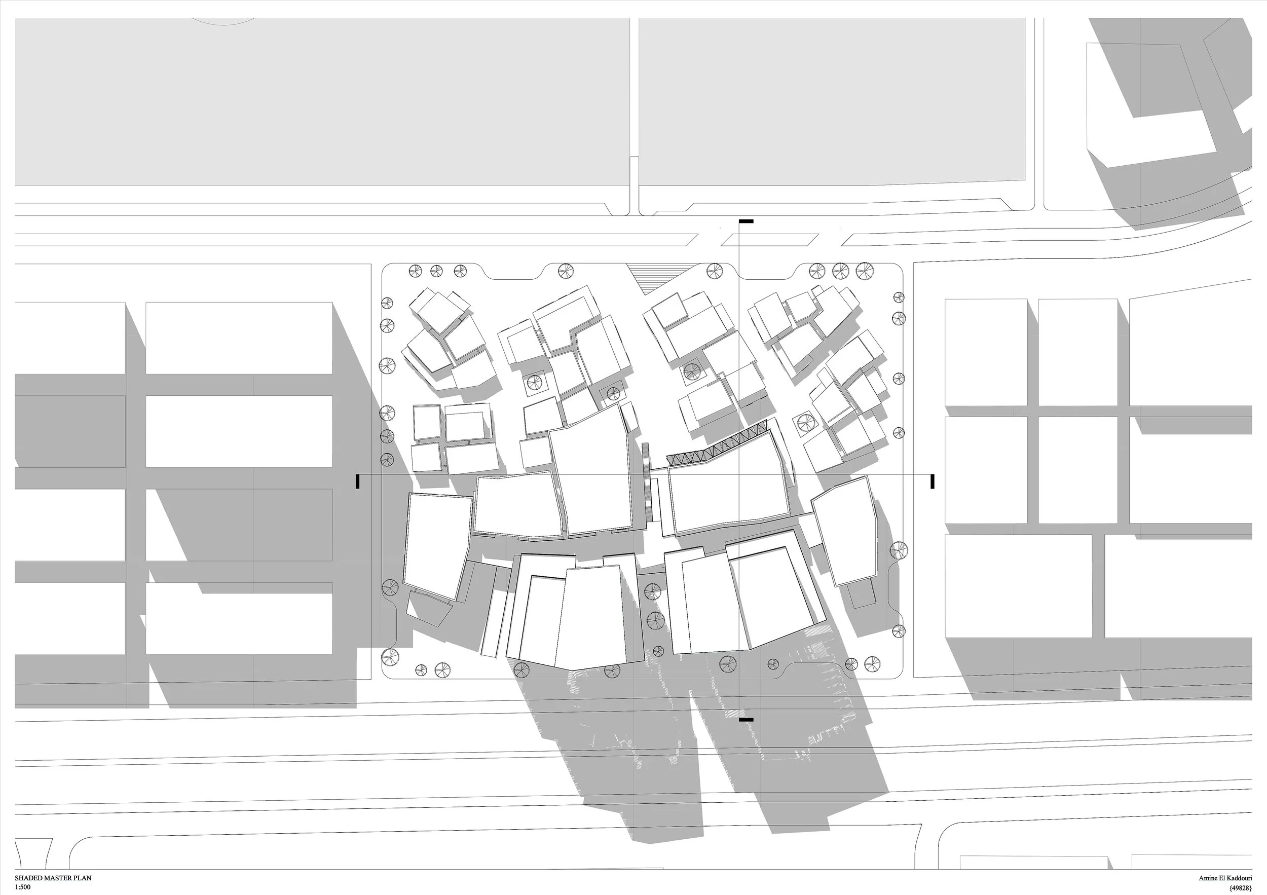 Shaded Master Plan.jpeg