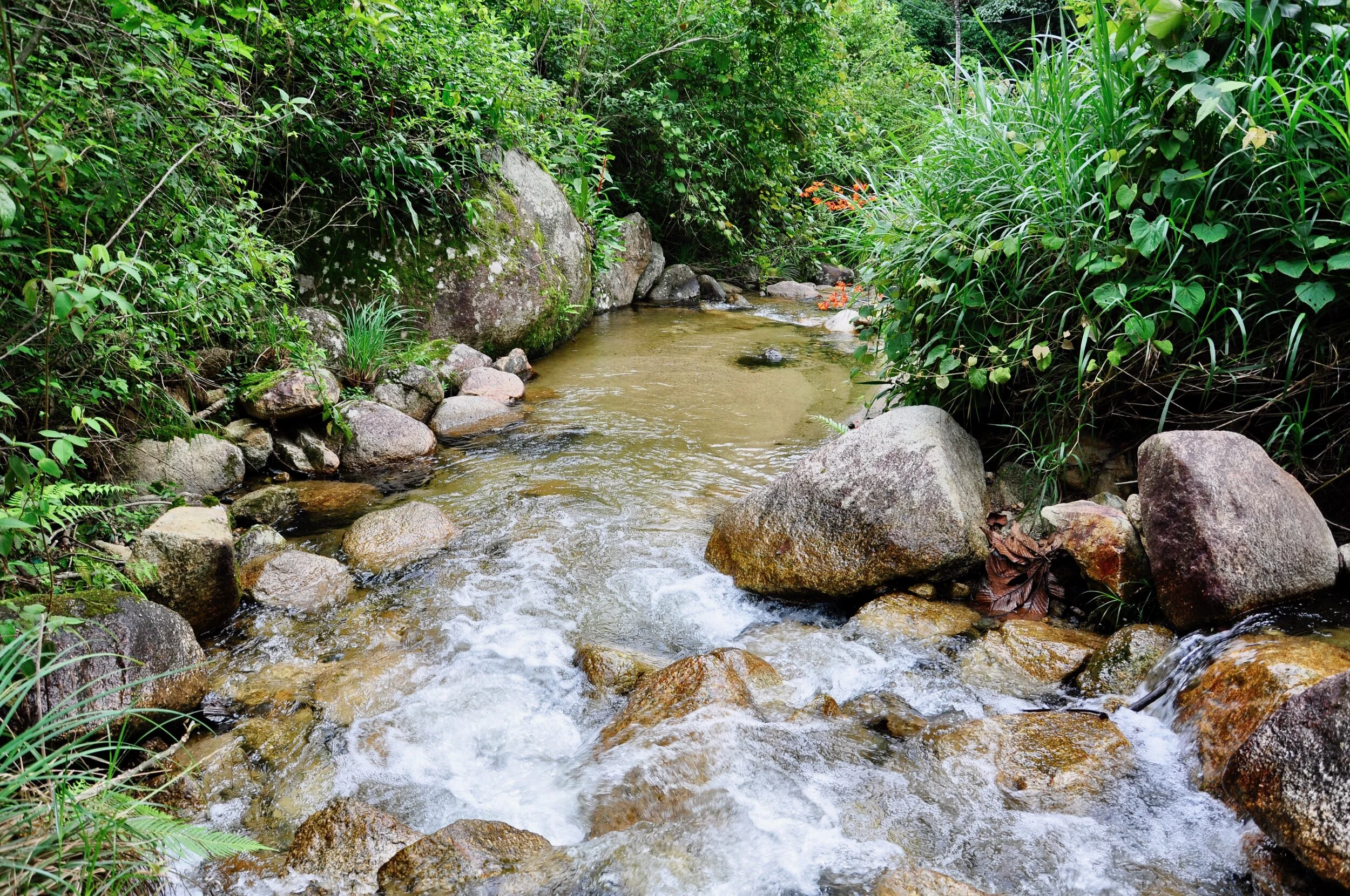_DSC0080_River.jpeg