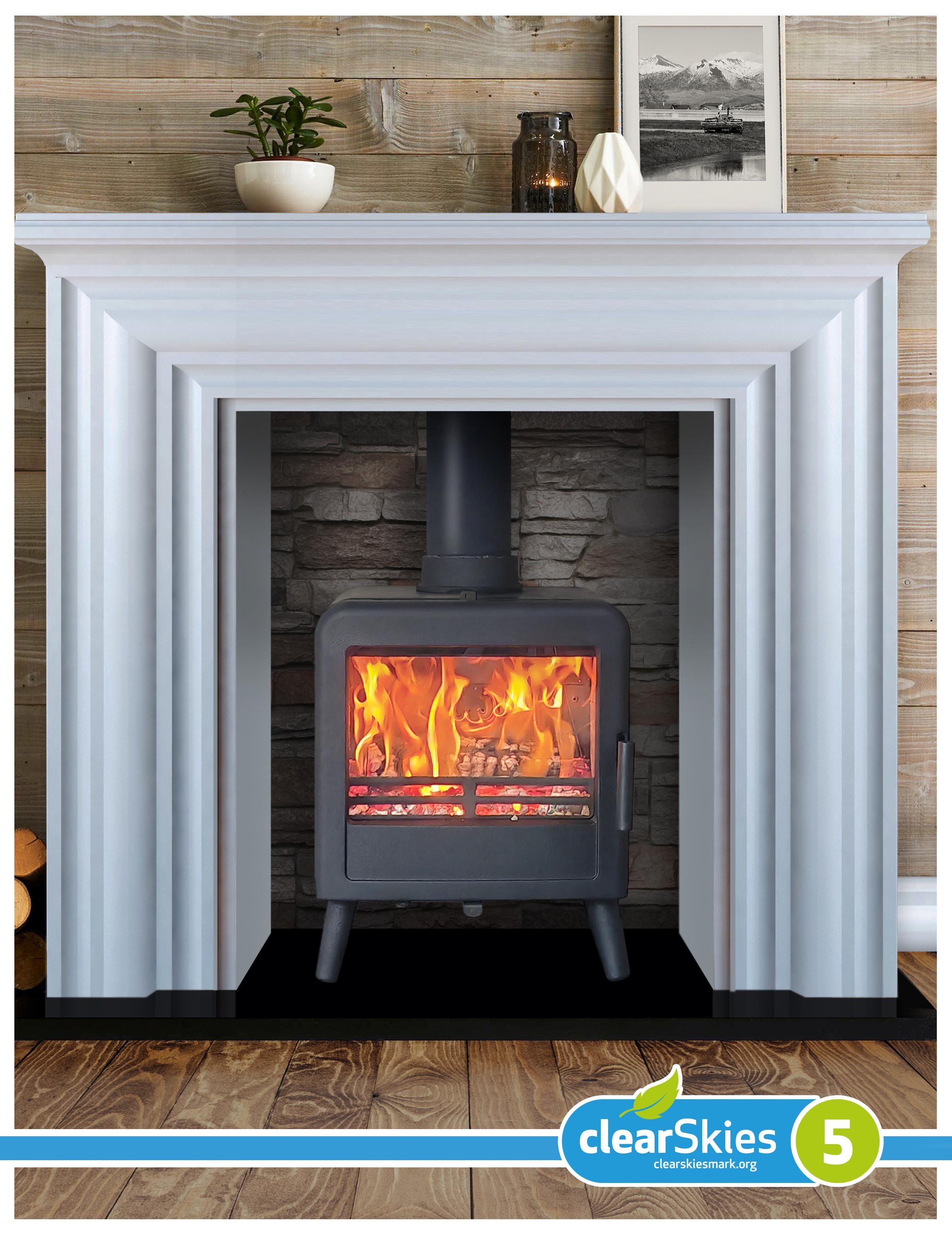 ekol bug fireplace render.jpg