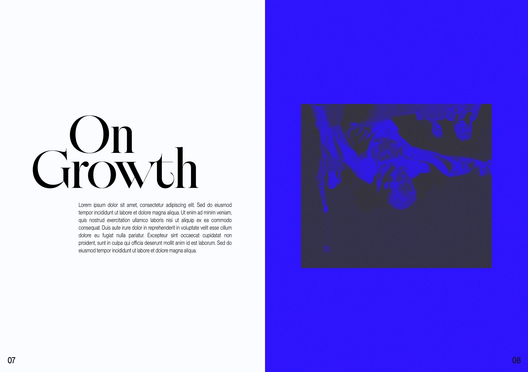 spread_3.jpg