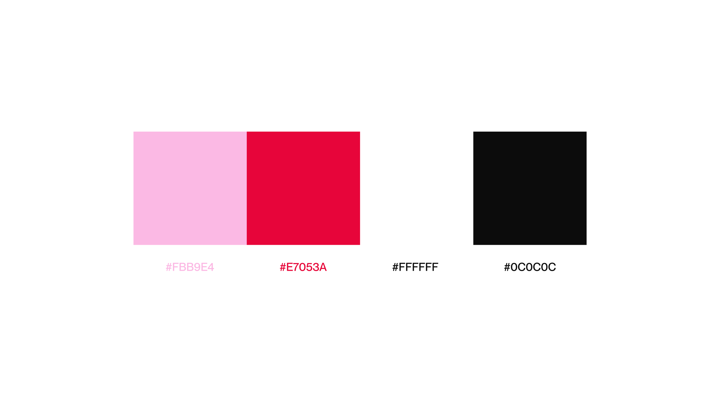 Color Palette