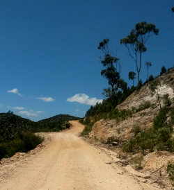 road.jpg