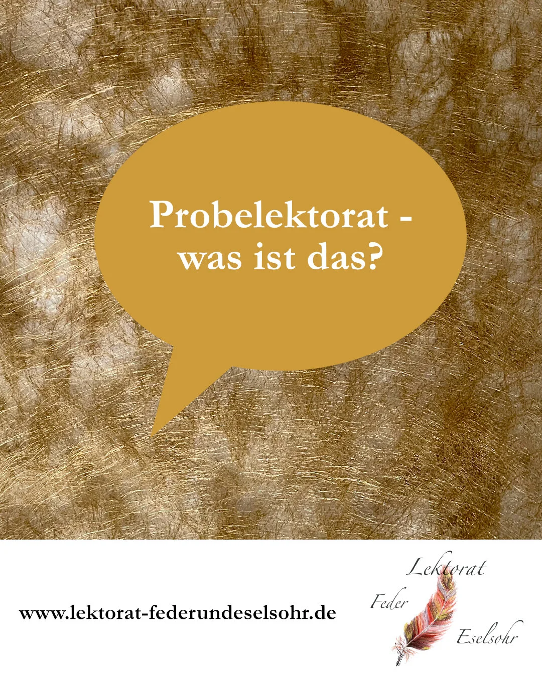 Probelektorat - Was ist das eigentlich?