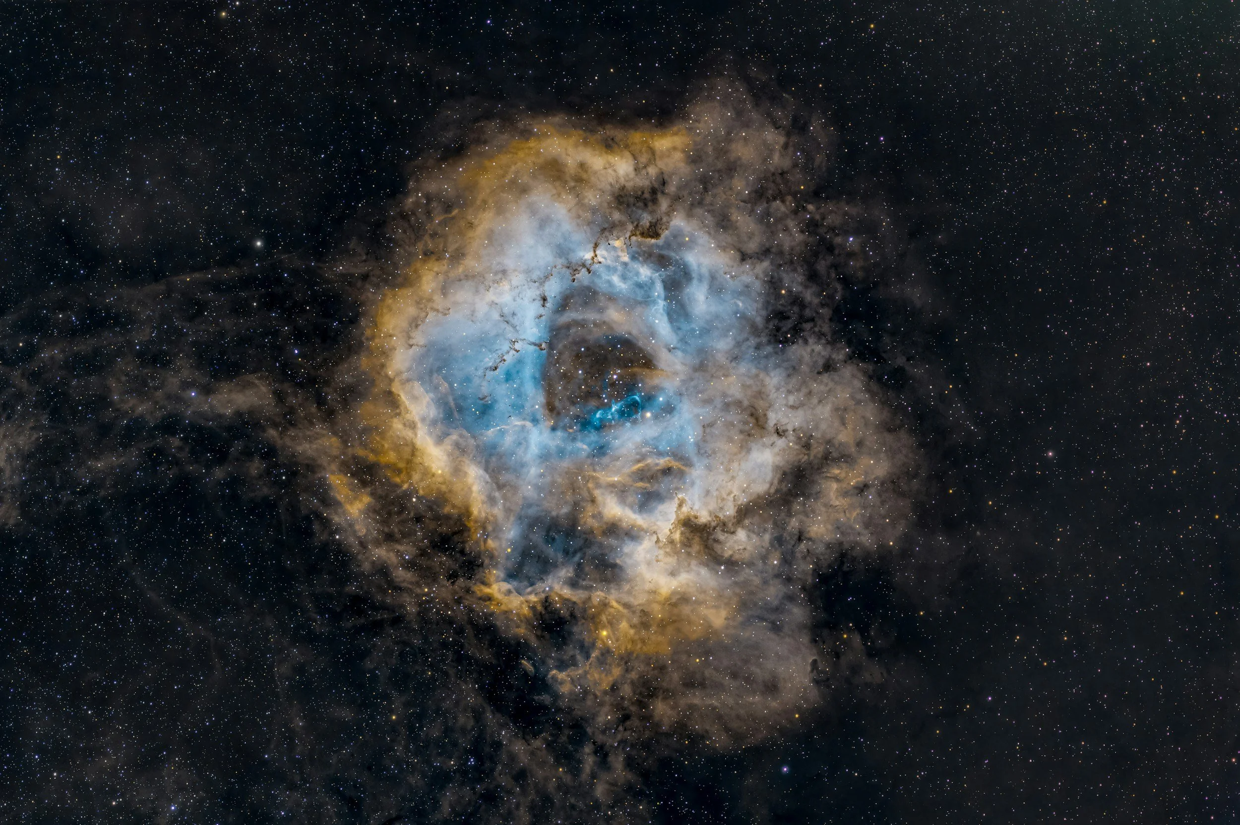 Cafo by Animals As Leaders