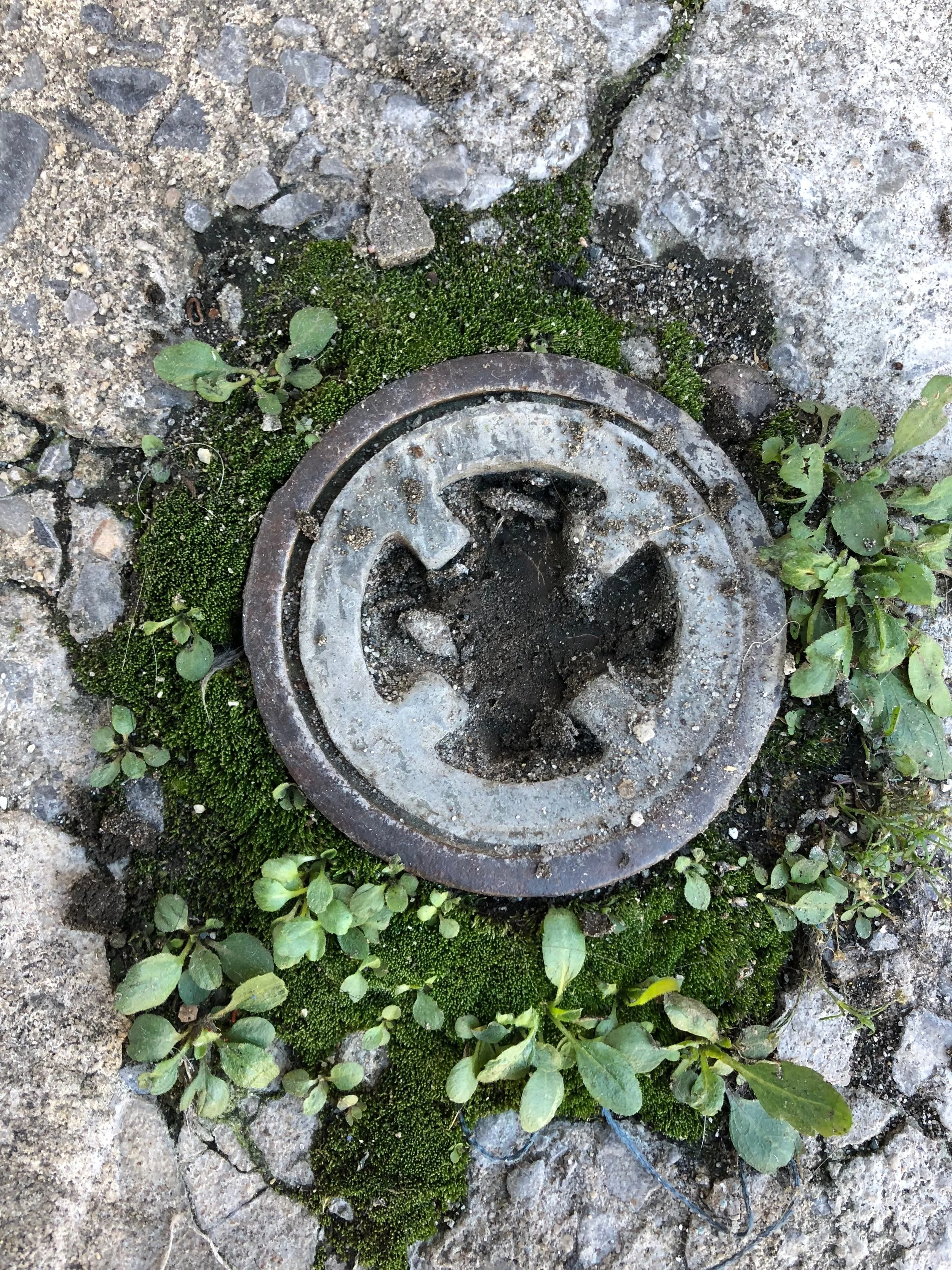 Oil Tank Sweep Premier LLC