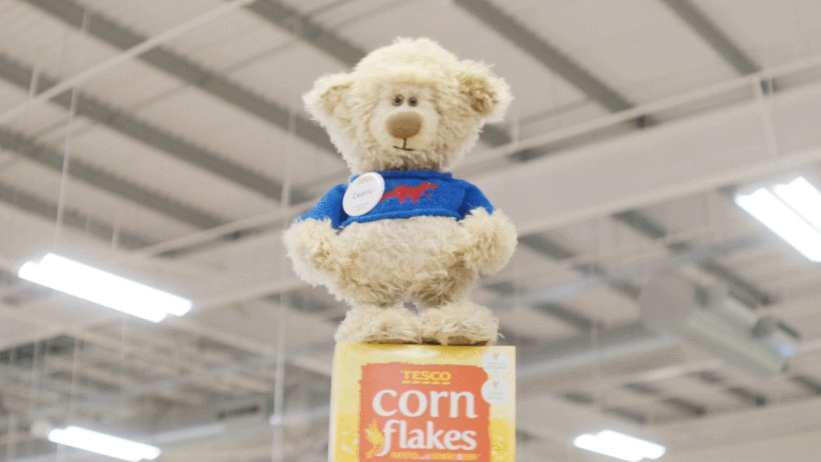 tesco teddy bear cedric to buy