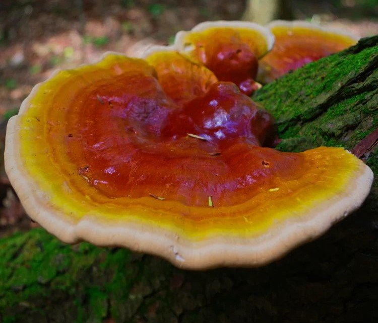 Season of Transition