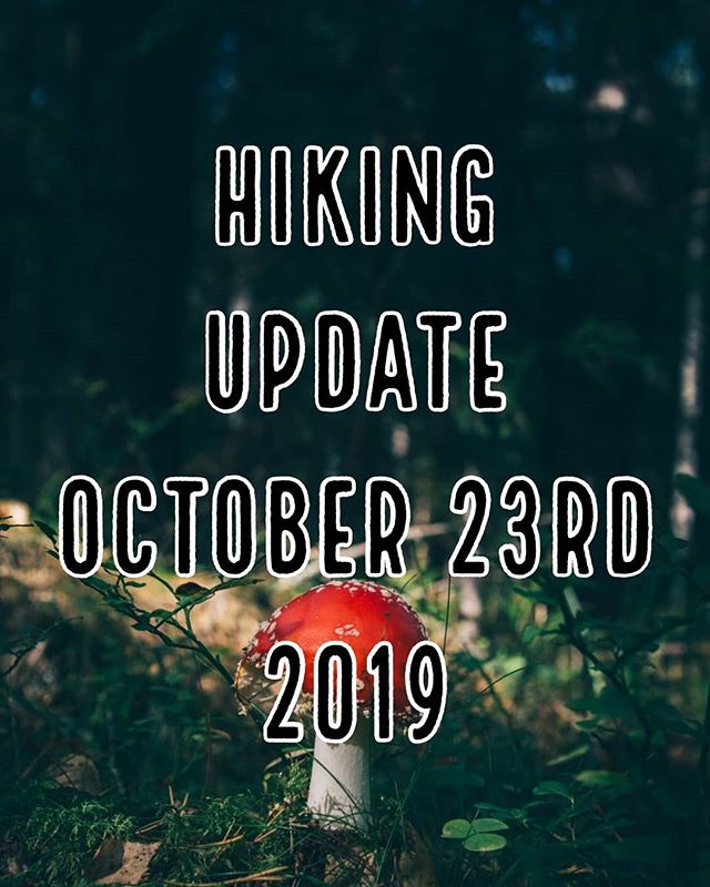 A solid 7 miles at the Eno today, though 2.5 miles in, I was already wanting to call it quits. I've been a little under the weather lately, and that definitely factored into my stamina. A quick 5 minute break, and I was good as new. Pushed through Co