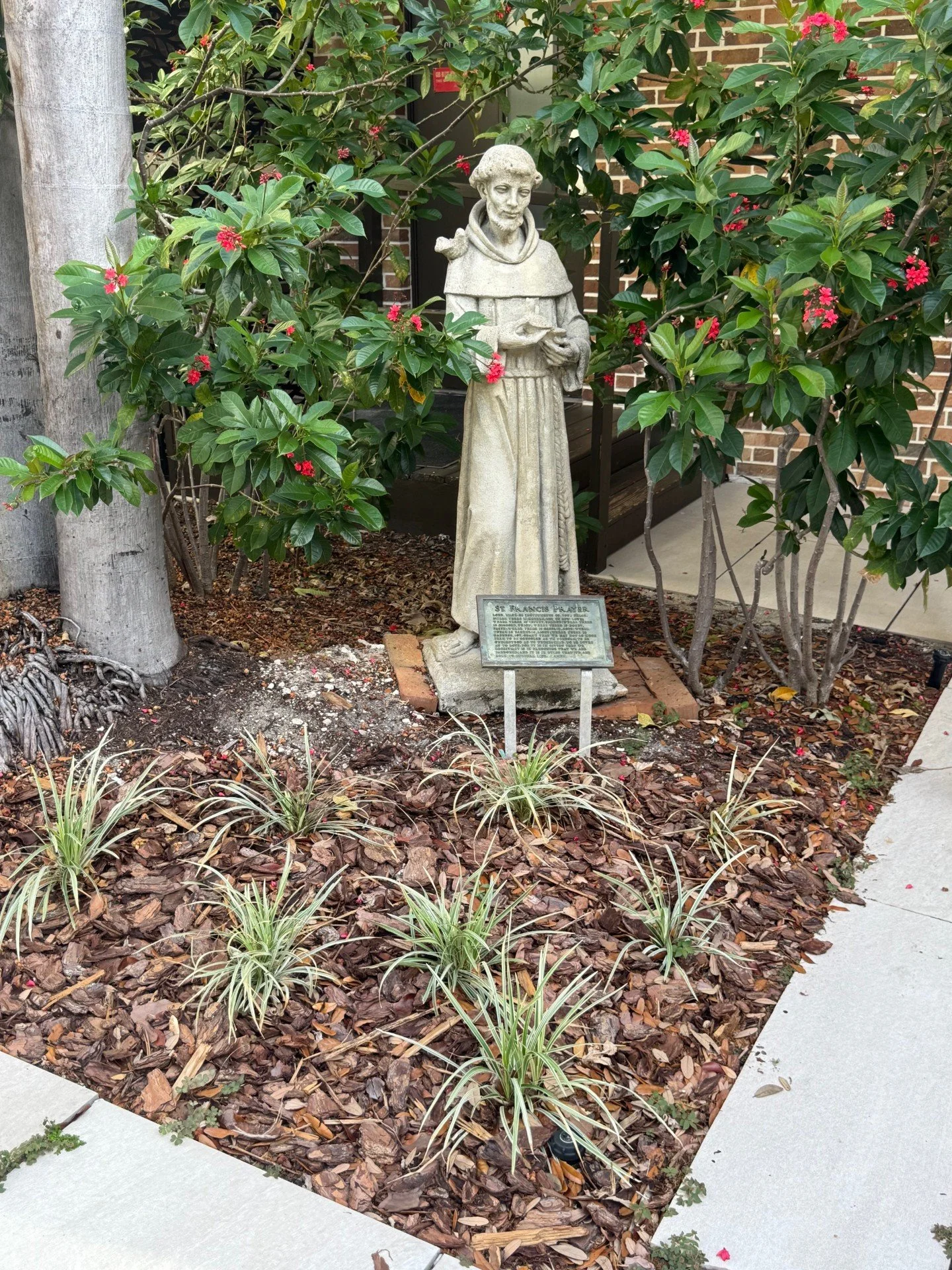 ST. GREGORY'S GARDENERS - A MINISTRY THAT HELPS ST. GREGORY'S BLOOM