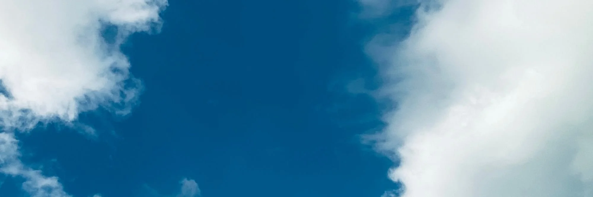 Website Headers (4).jpg