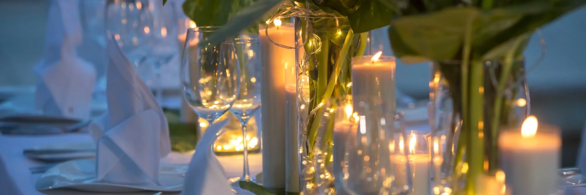 Website Headers (6).jpg