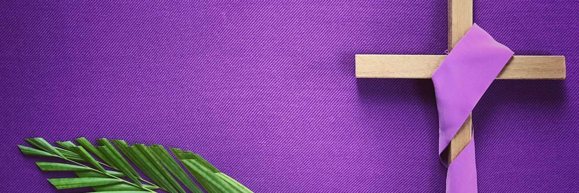 Website Headers (8).jpg