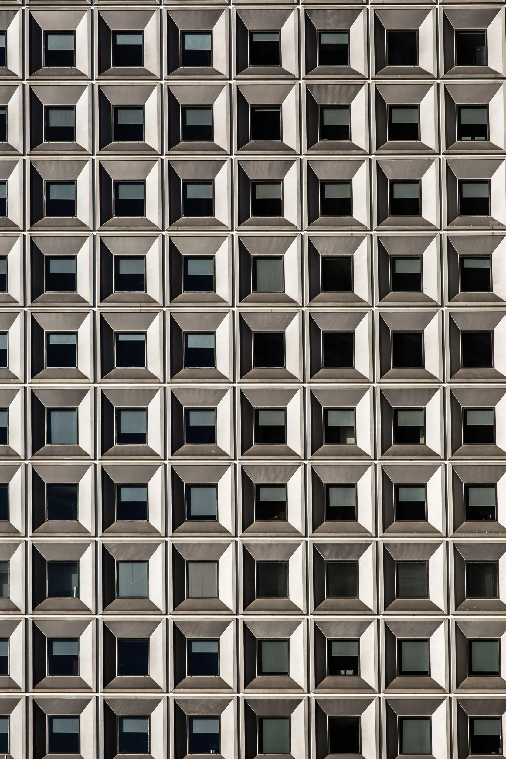 Finacial District Windows-.jpg