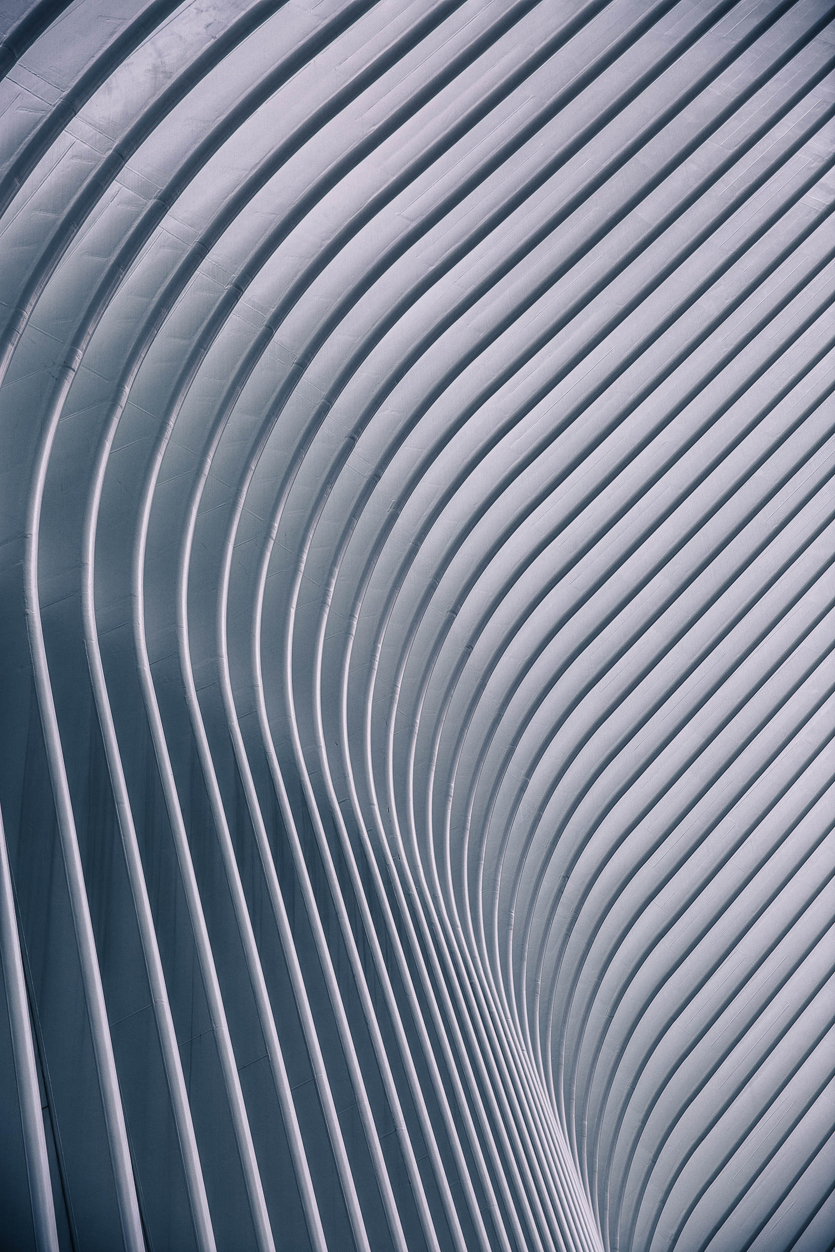 Oculus Wing-.jpg