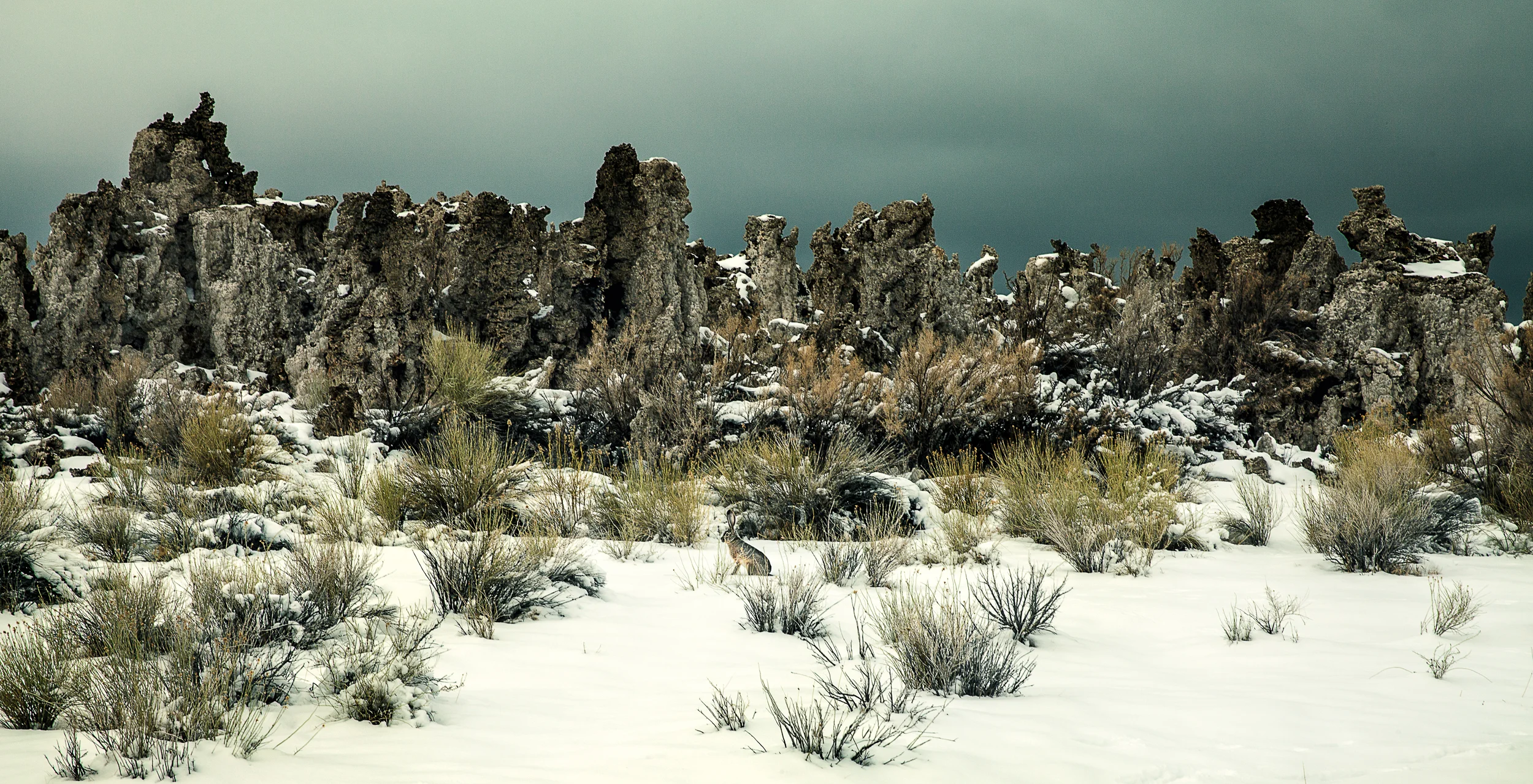 winter scene mono lake--Edit.jpg